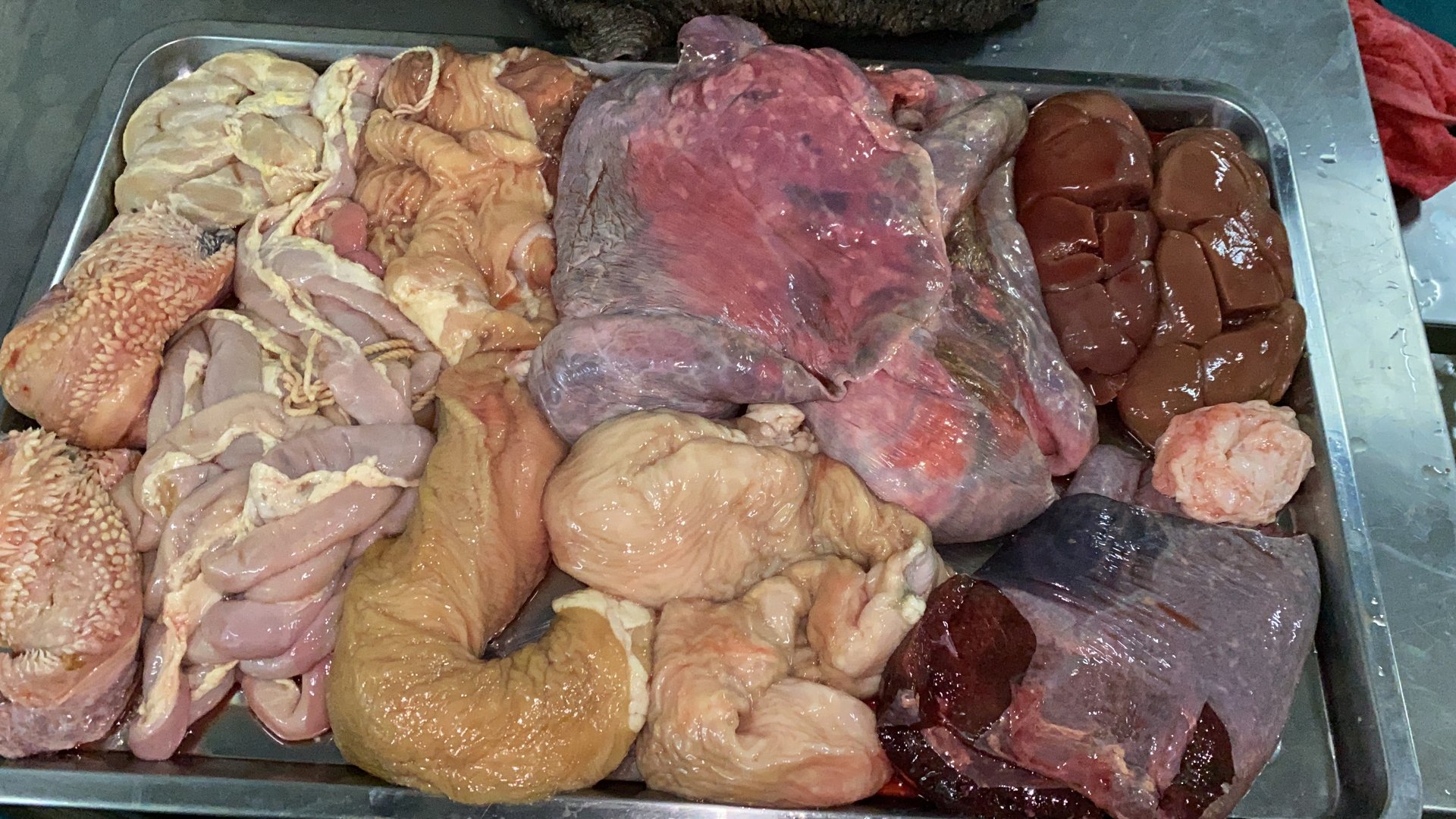 woman holding dried flower