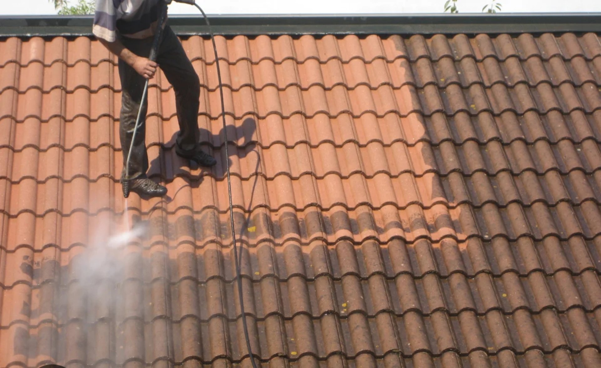 moss on roof