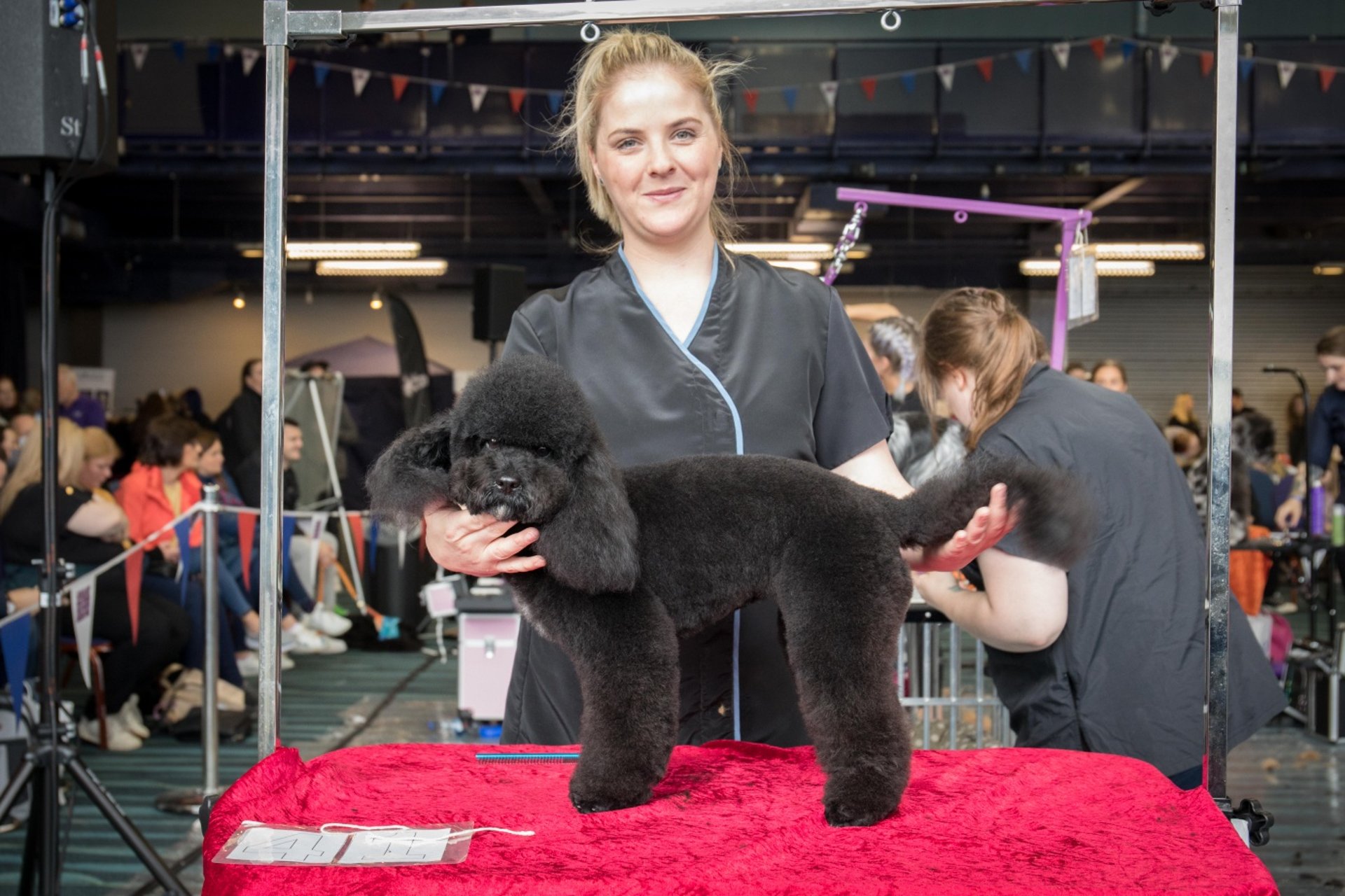 an abstract photo of a curved building with a blue sky in the background