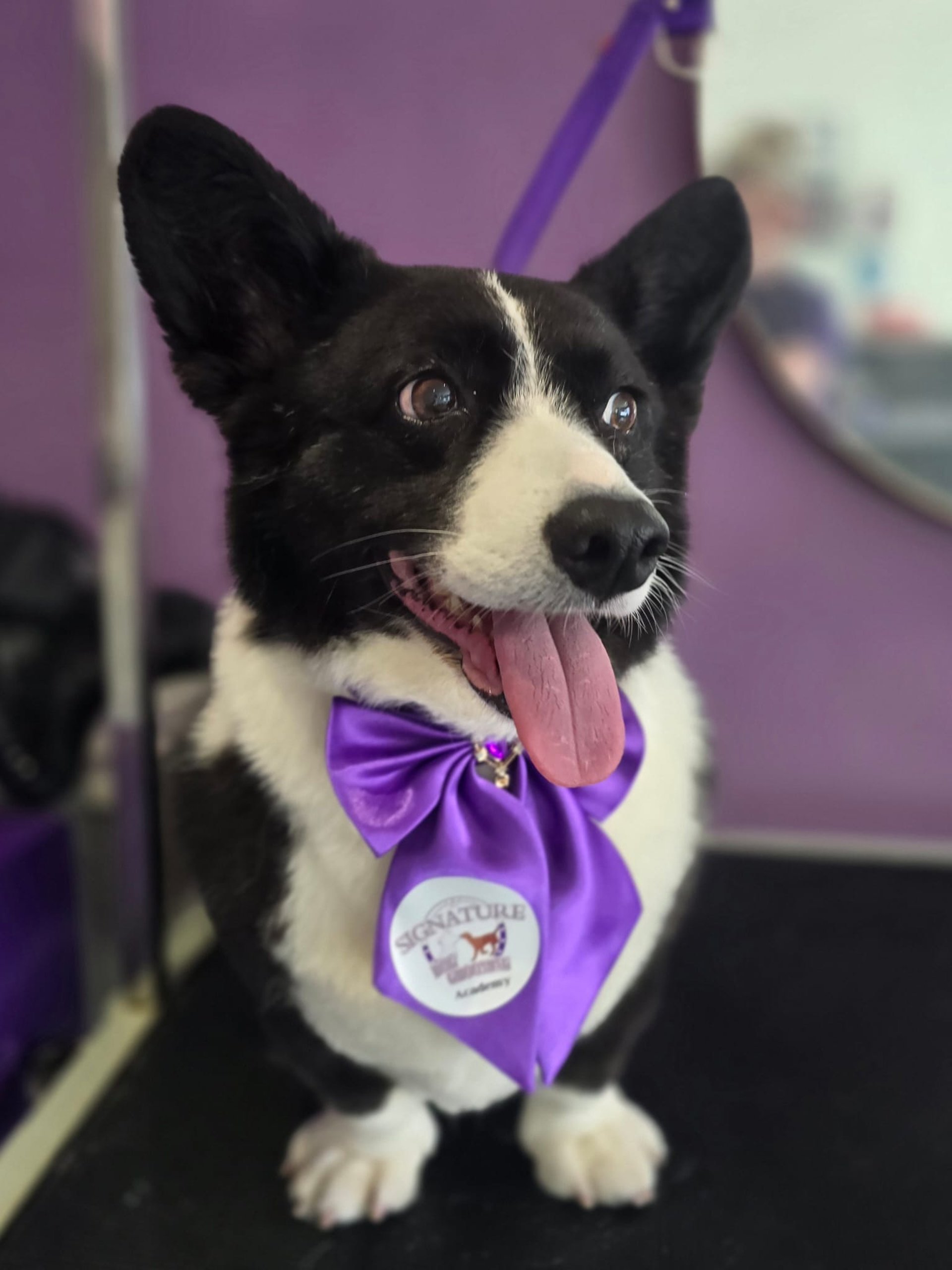 black and white bed linen