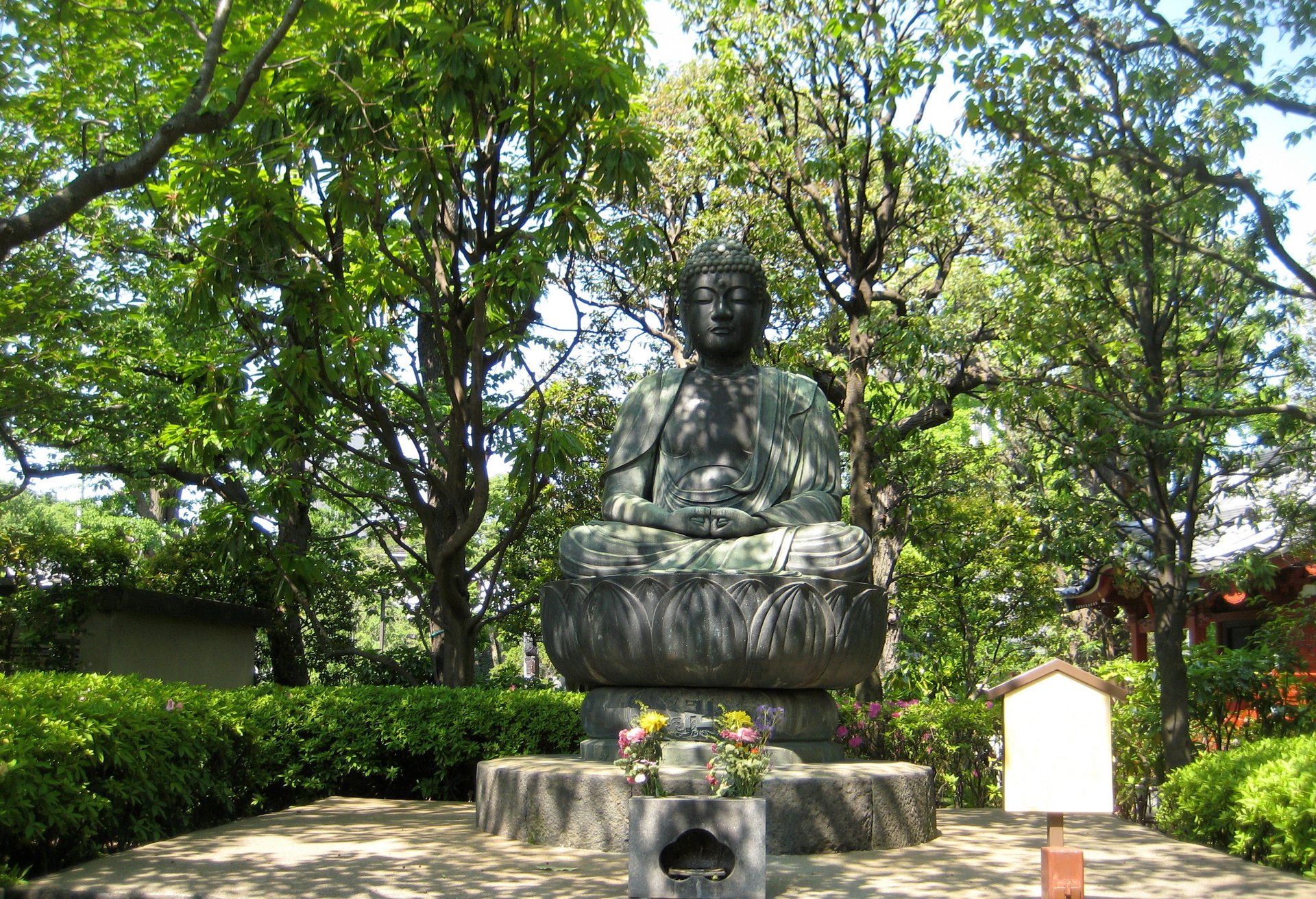 woman holding dried flower
