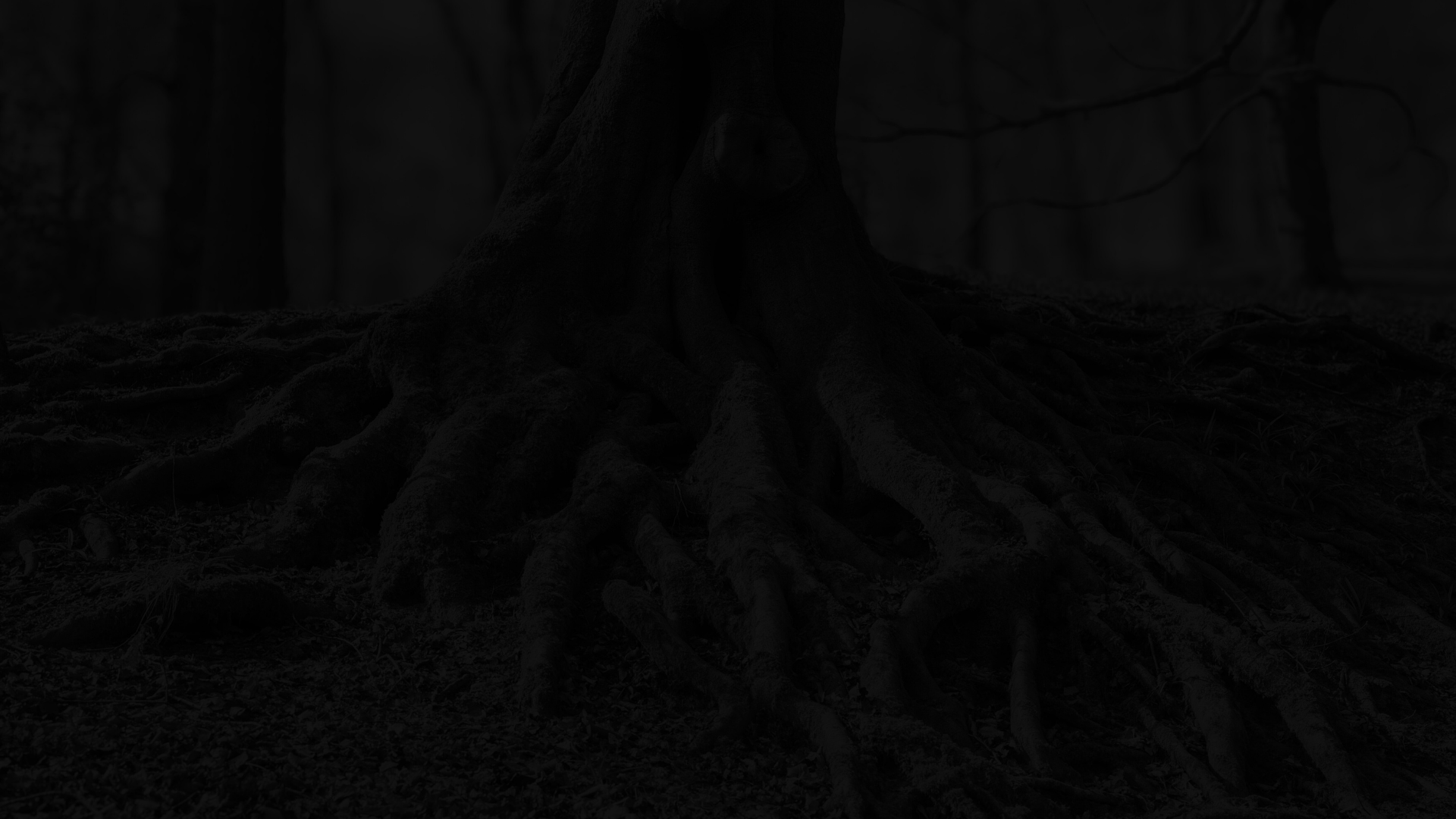 A dark background image of a tree's roots.