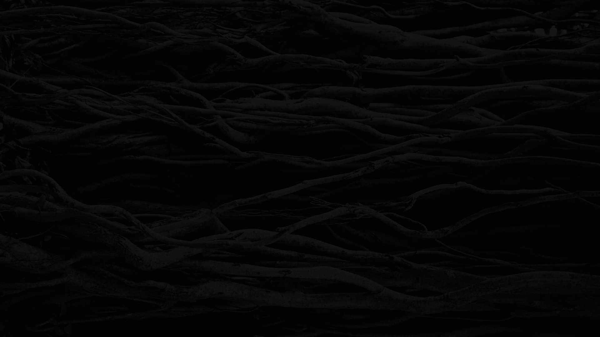 A dark background image of horizontal roots.