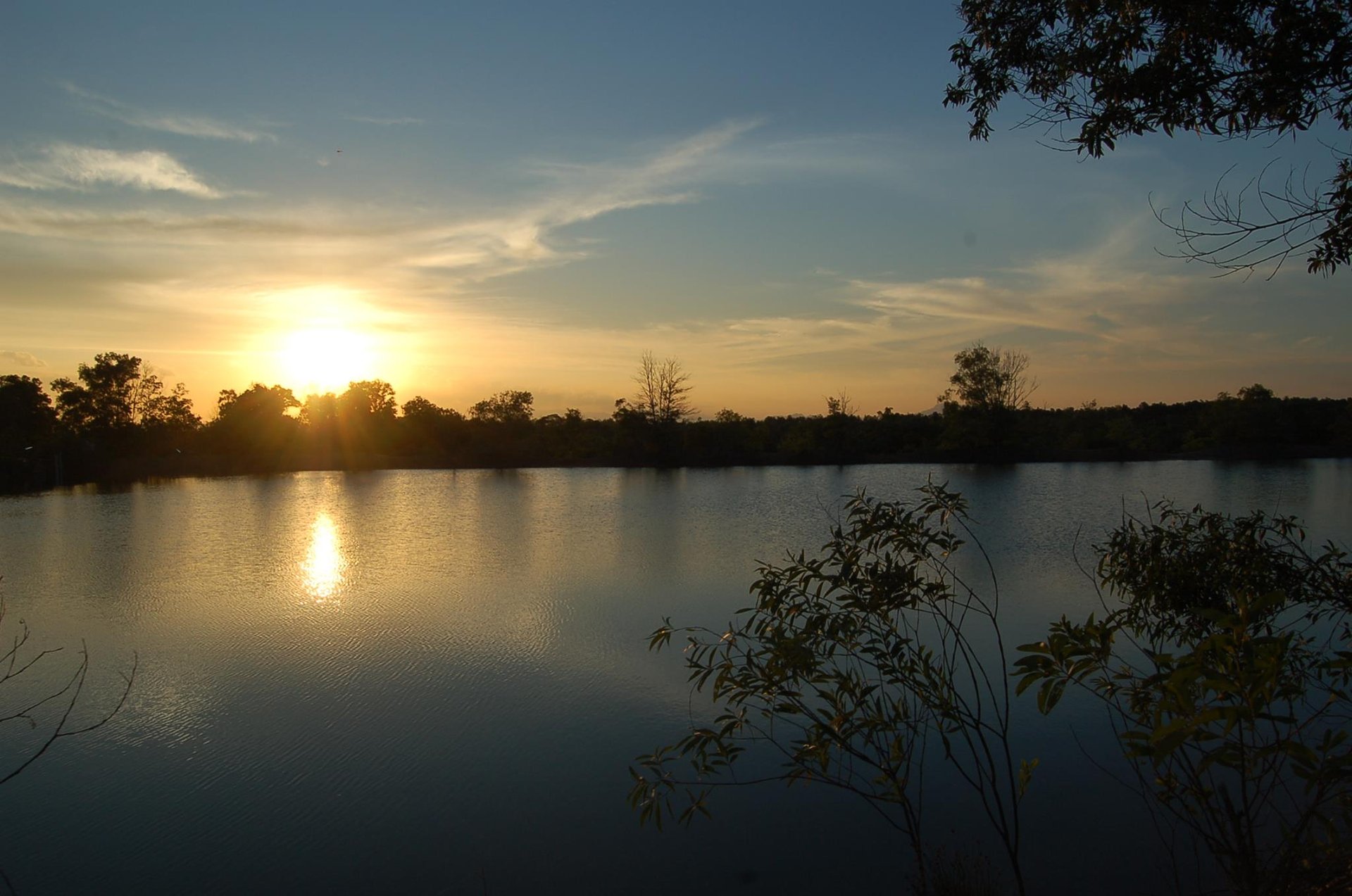 black blue and yellow textile