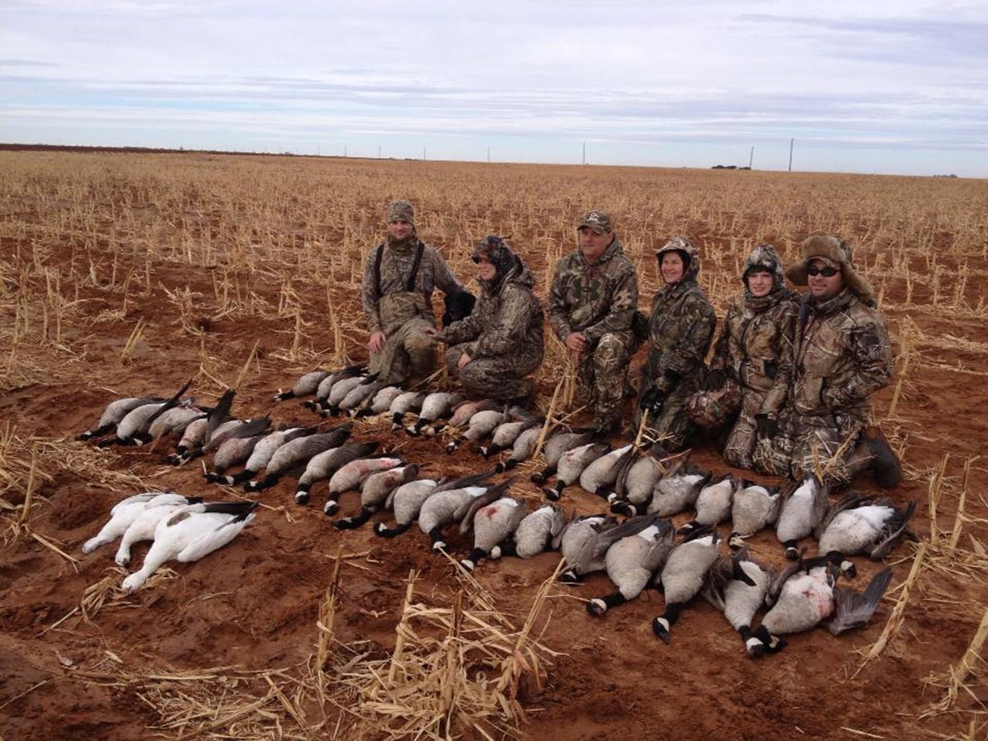 limit.jpg Hunters sitting behind several rows of harvested Canada geese after a successful morning in the pit.