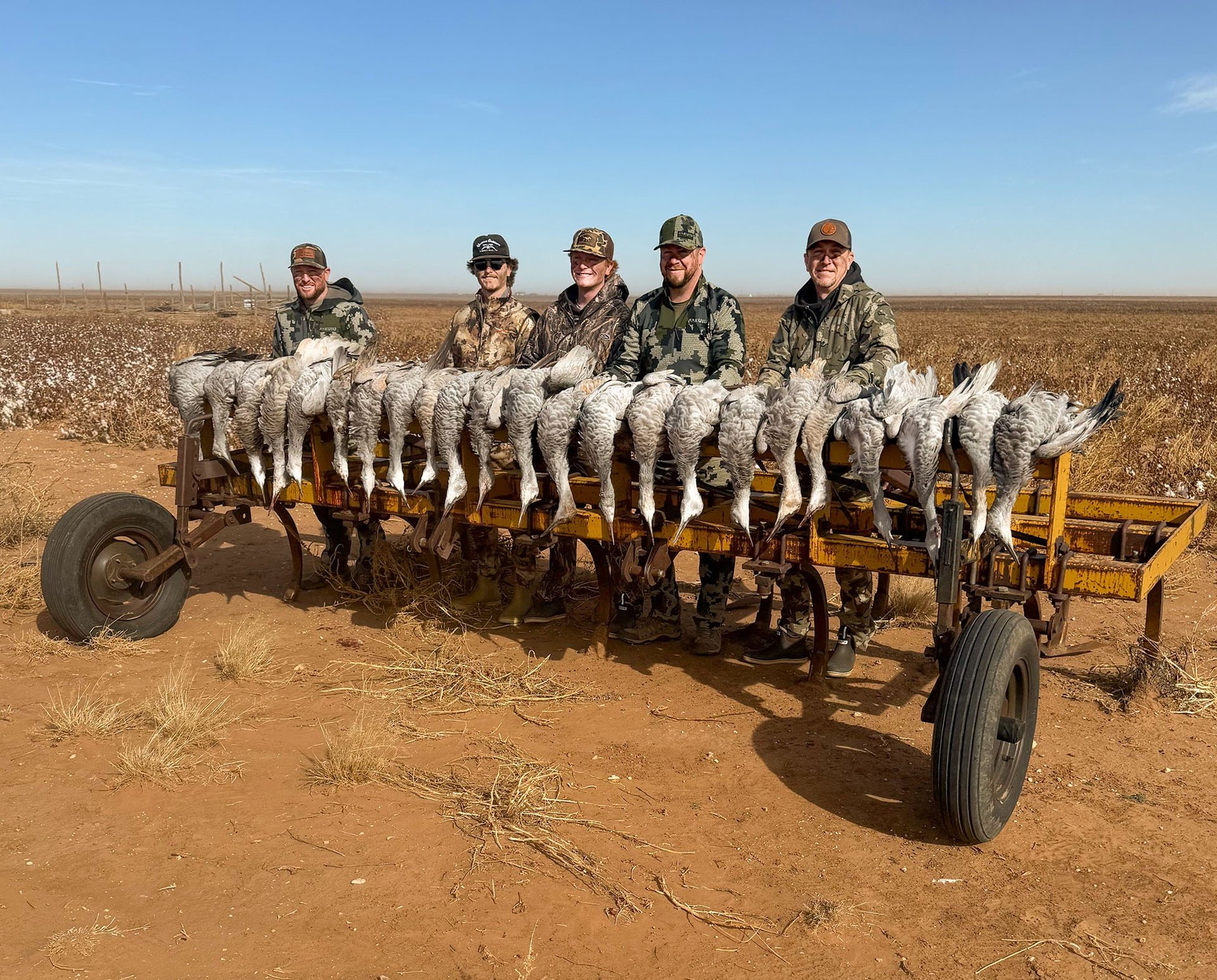 Five hunters in camouflage posing behind a row of harvested sandhill cranes on a yellow farm implement in a Texas field.