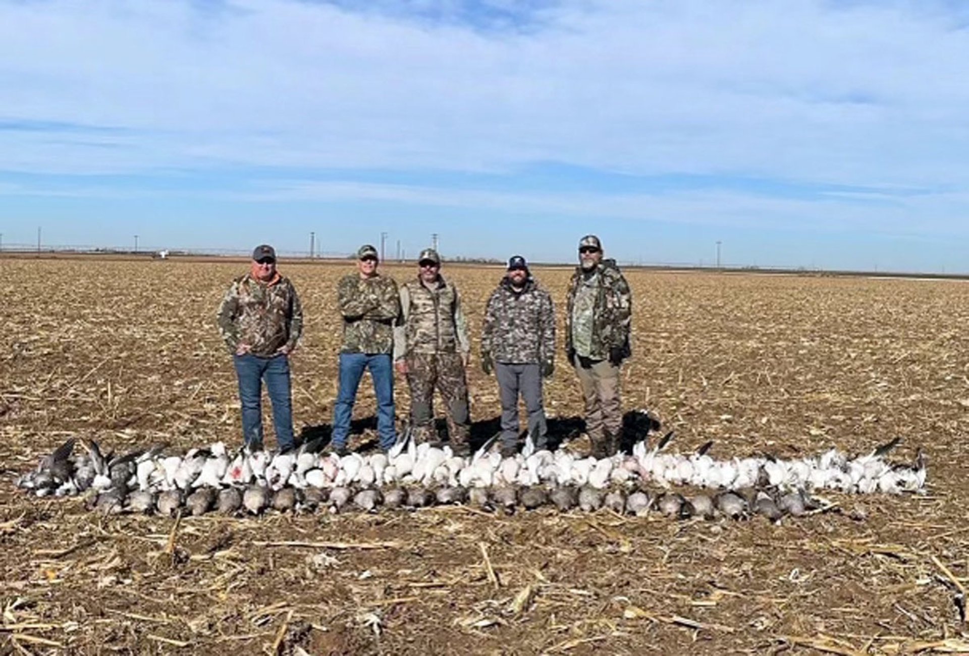 Hunters standing behind a limit of Canada geese during a guided morning hunt in the Texas Panhandle.