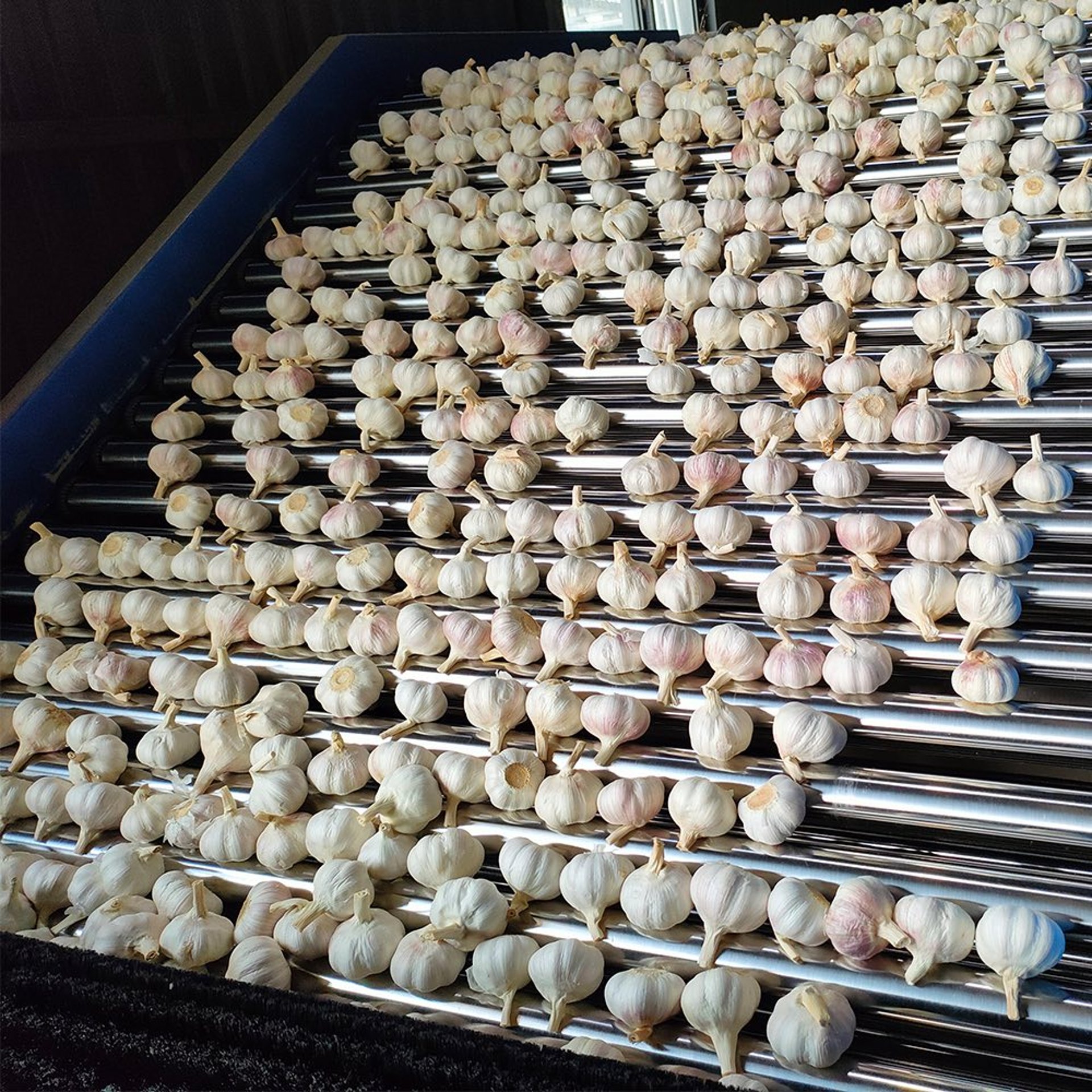 black and white bed linen