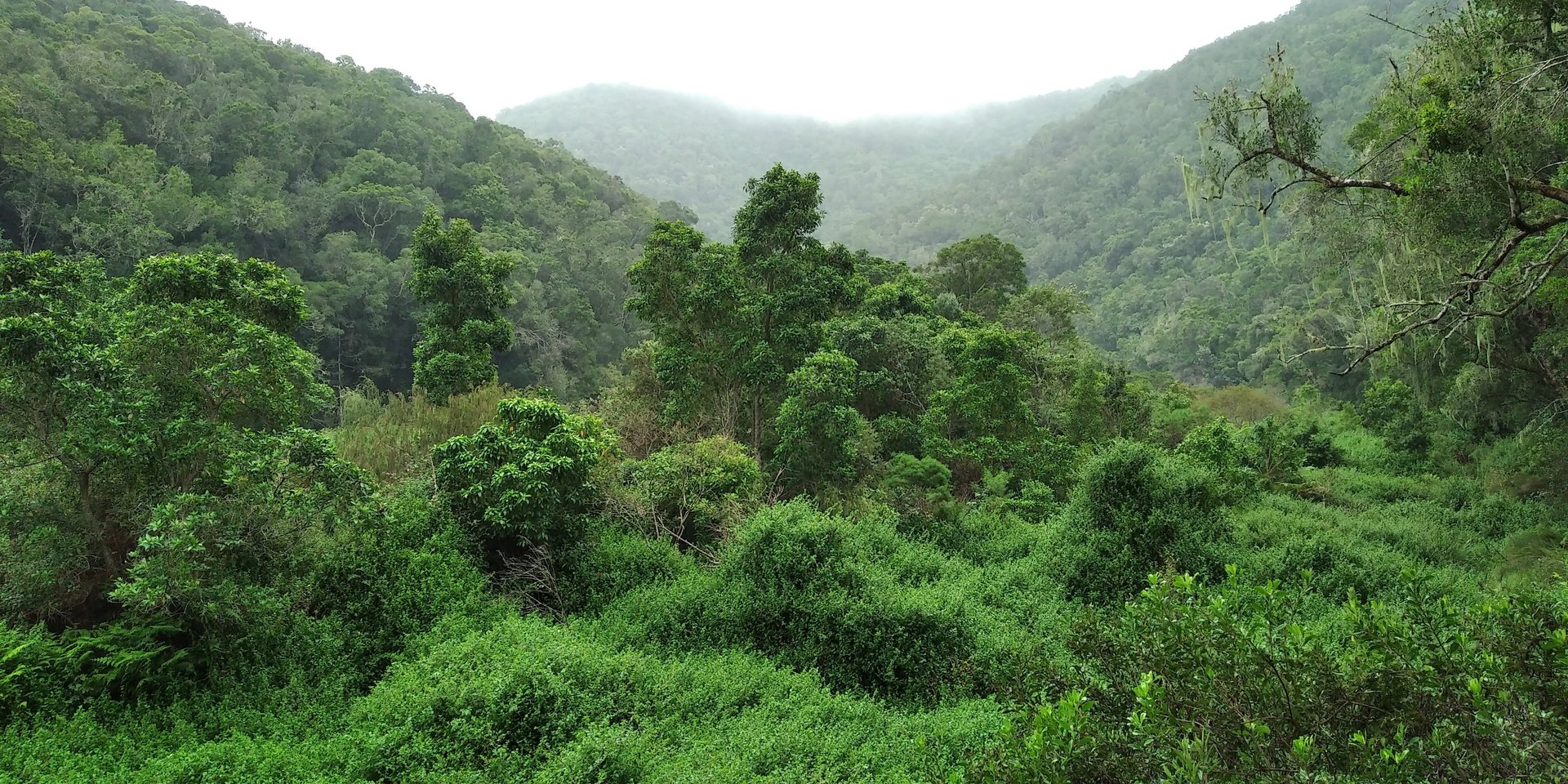 woman wearing yellow long-sleeved dress under white clouds and blue sky during daytime