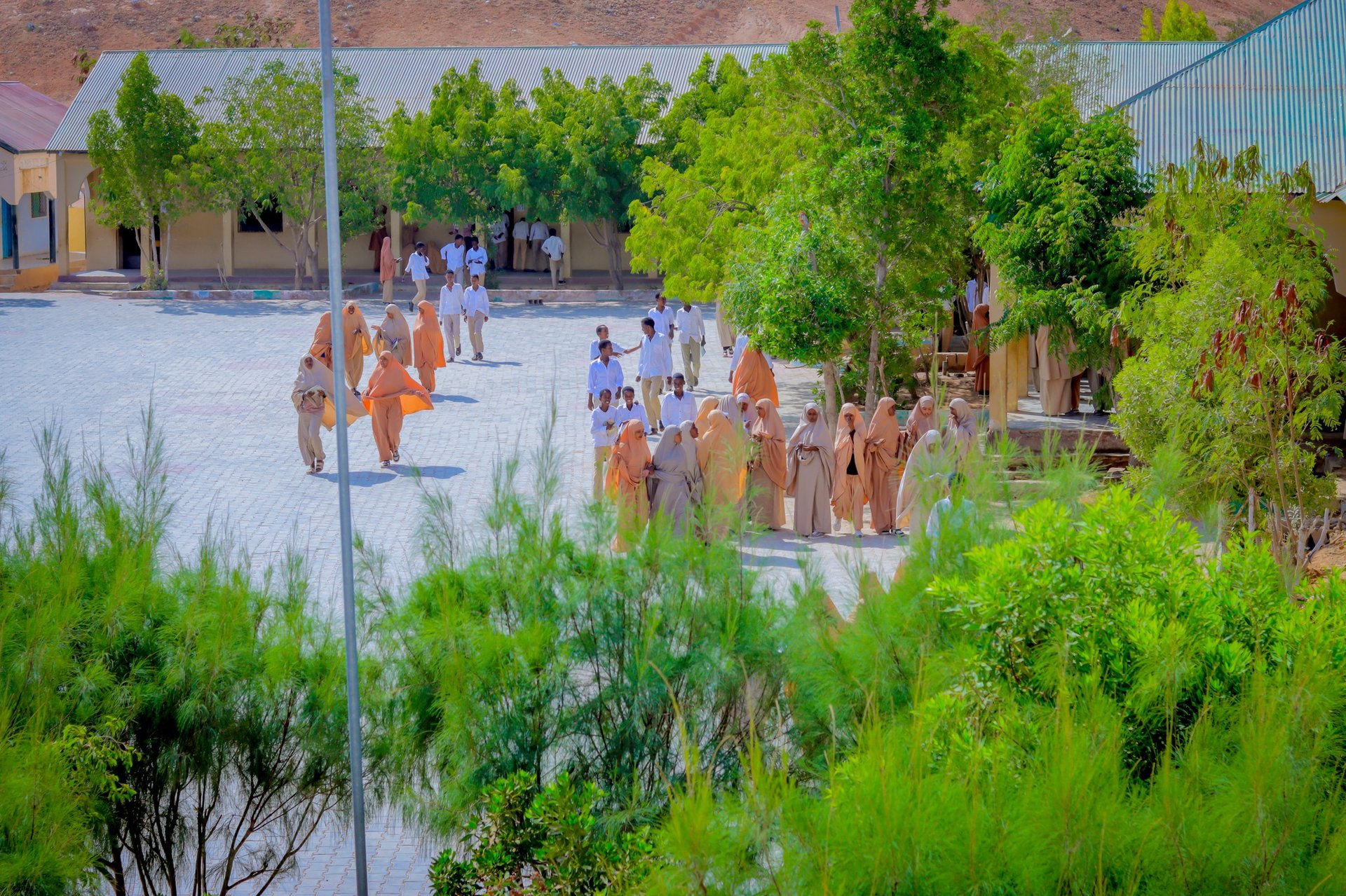 black and white bed linen