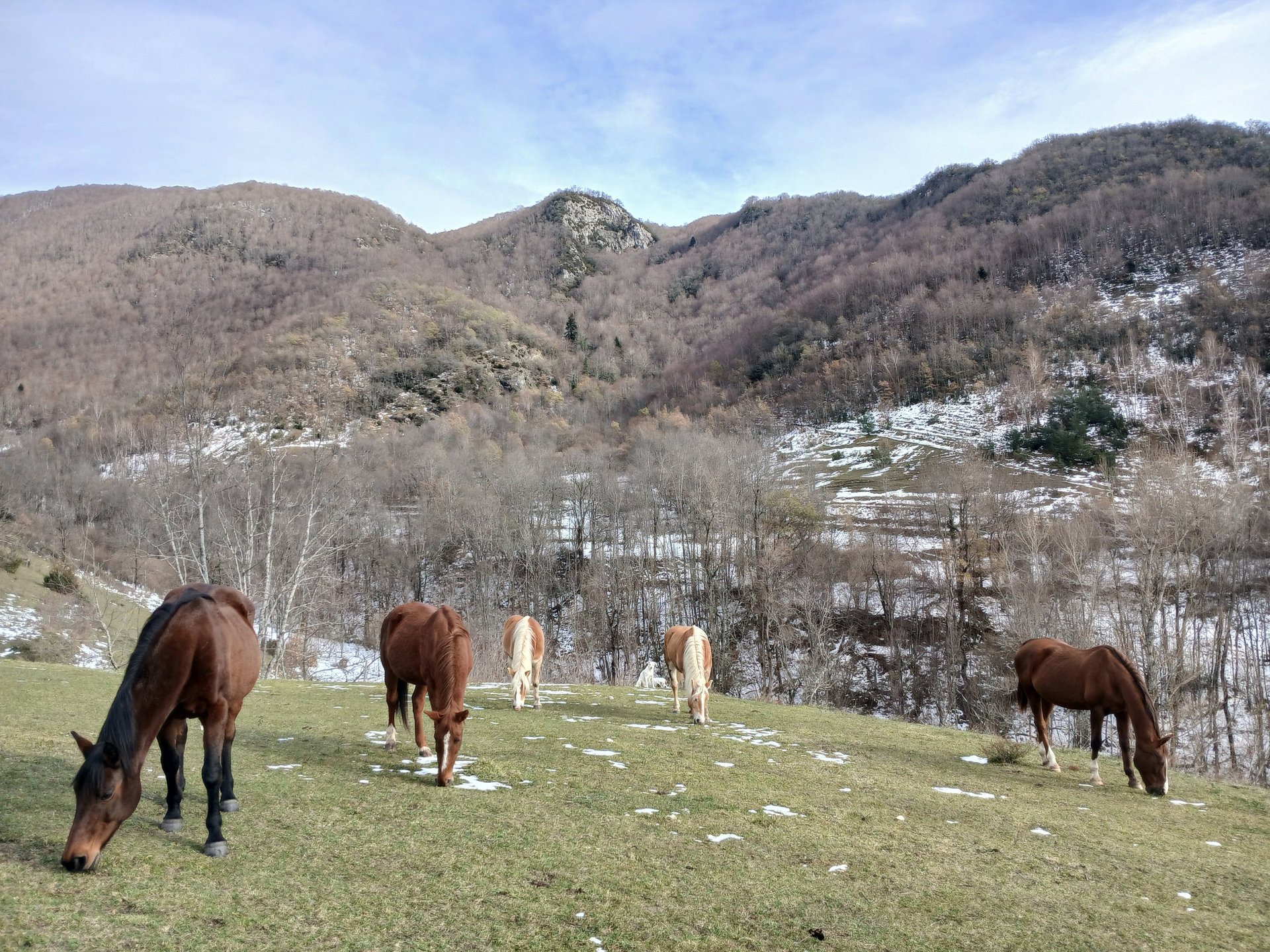 person wearing grey knit sweater