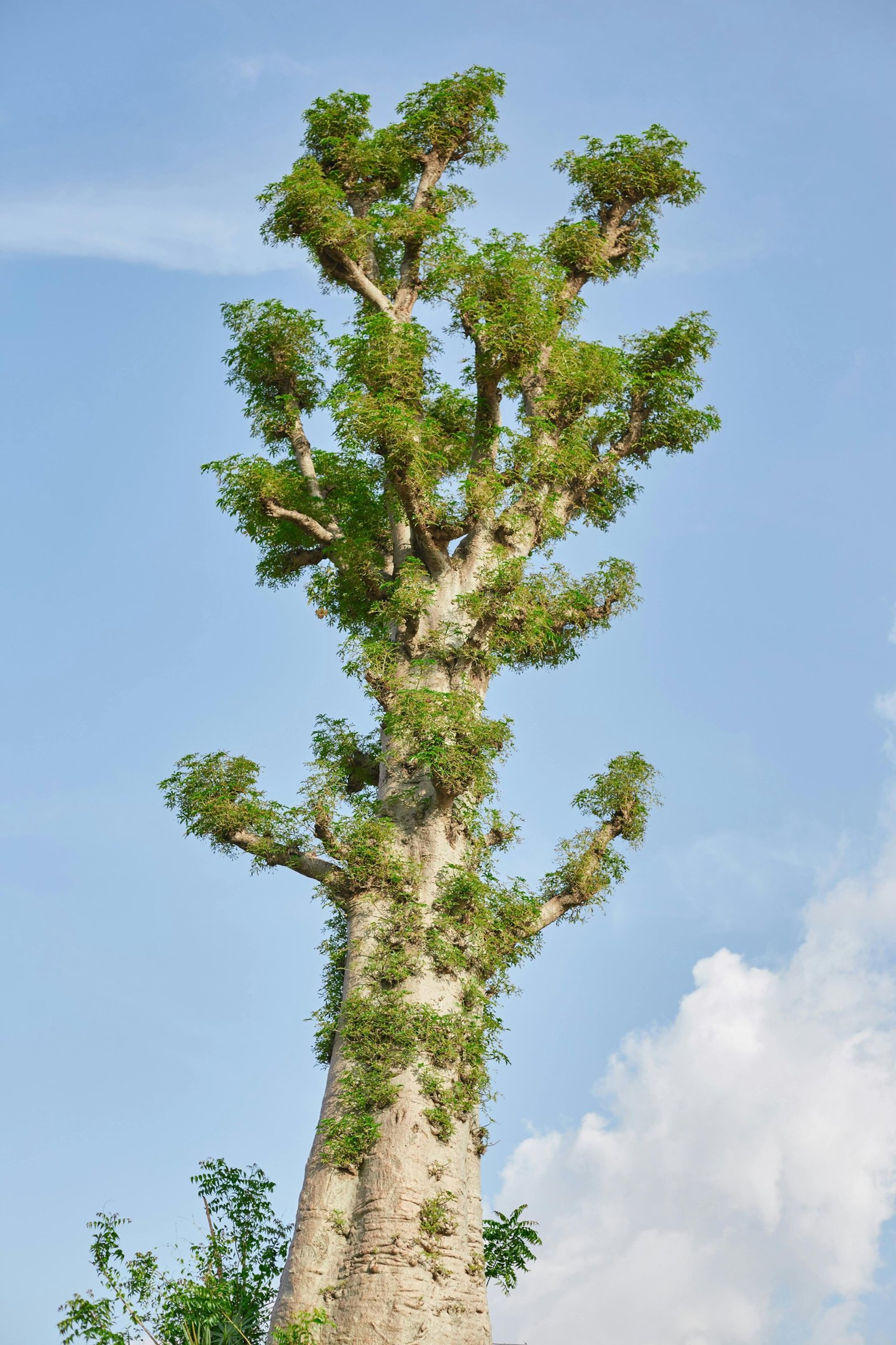 gray computer monitor