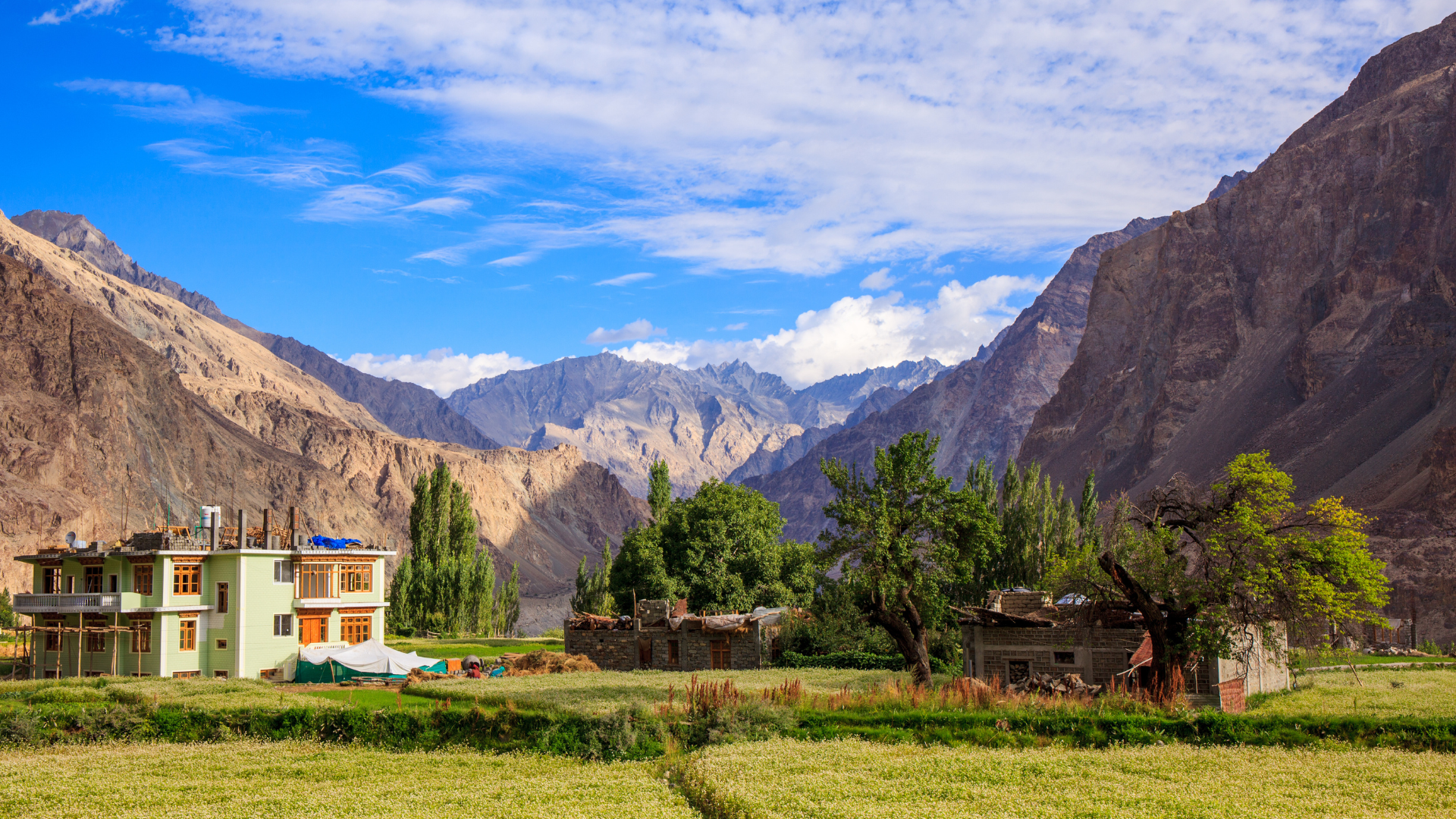 ladakh markha valley