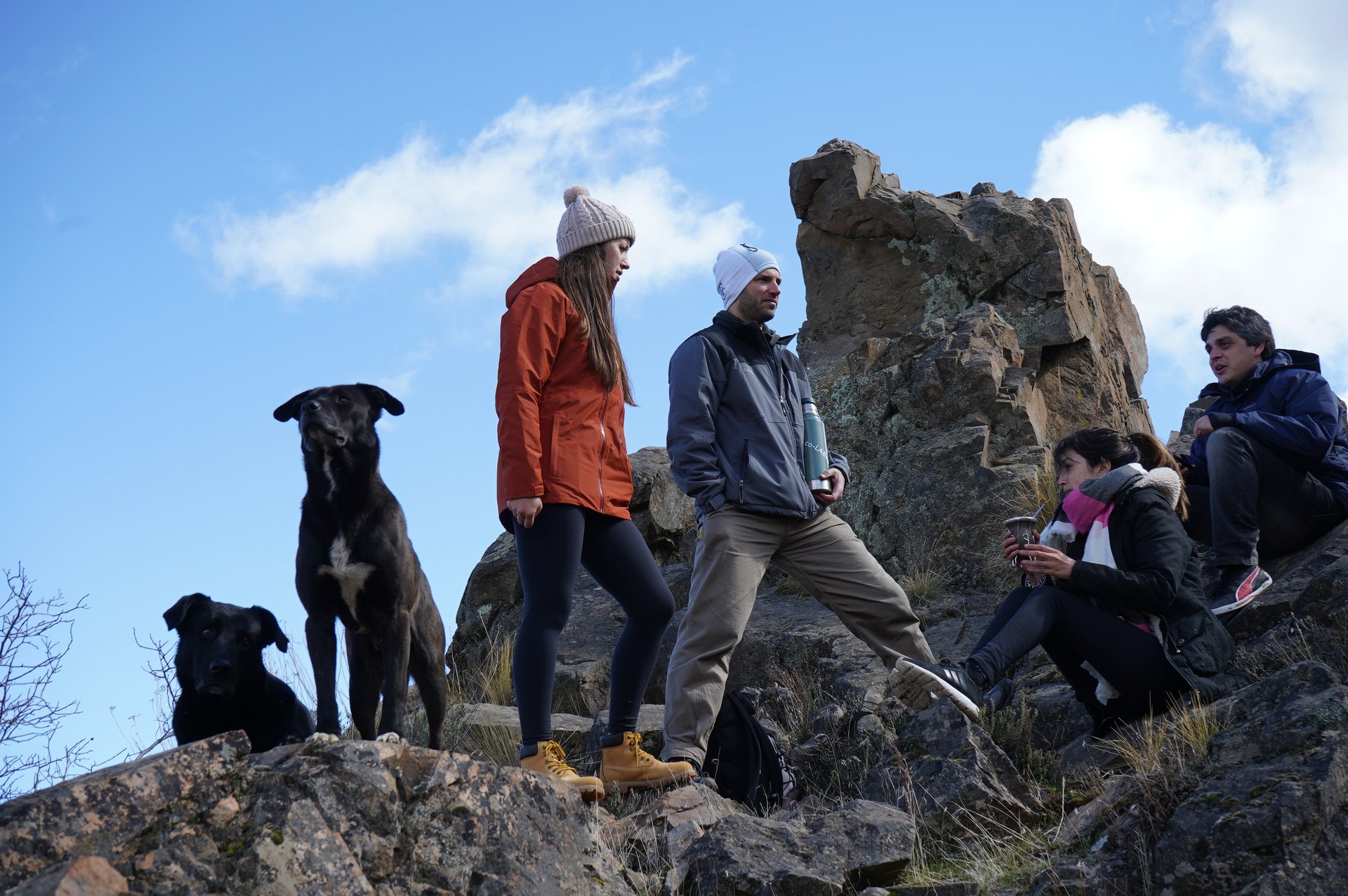 an abstract photo of a curved building with a blue sky in the background
