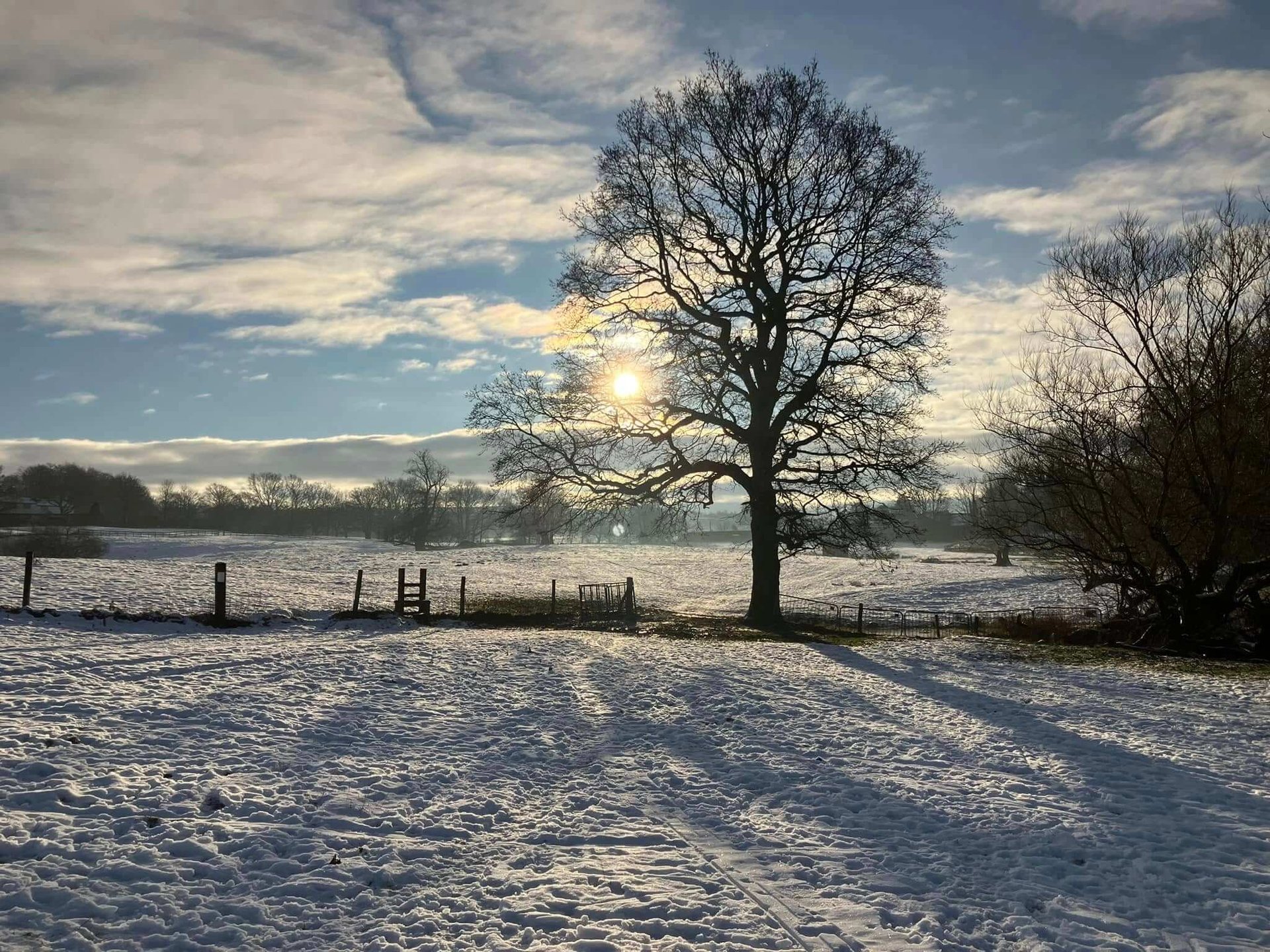 gray computer monitor