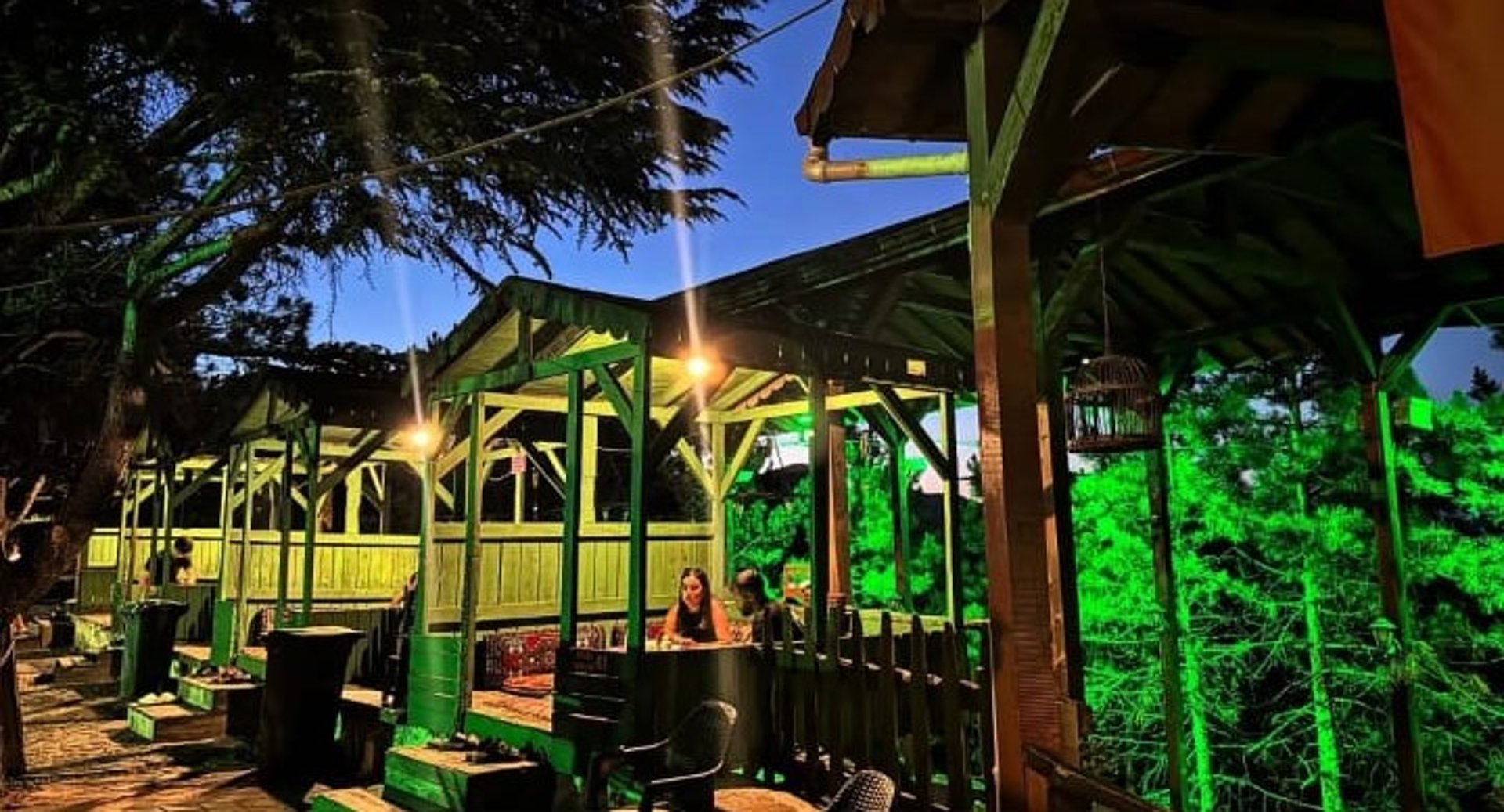 woman wearing yellow long-sleeved dress under white clouds and blue sky during daytime