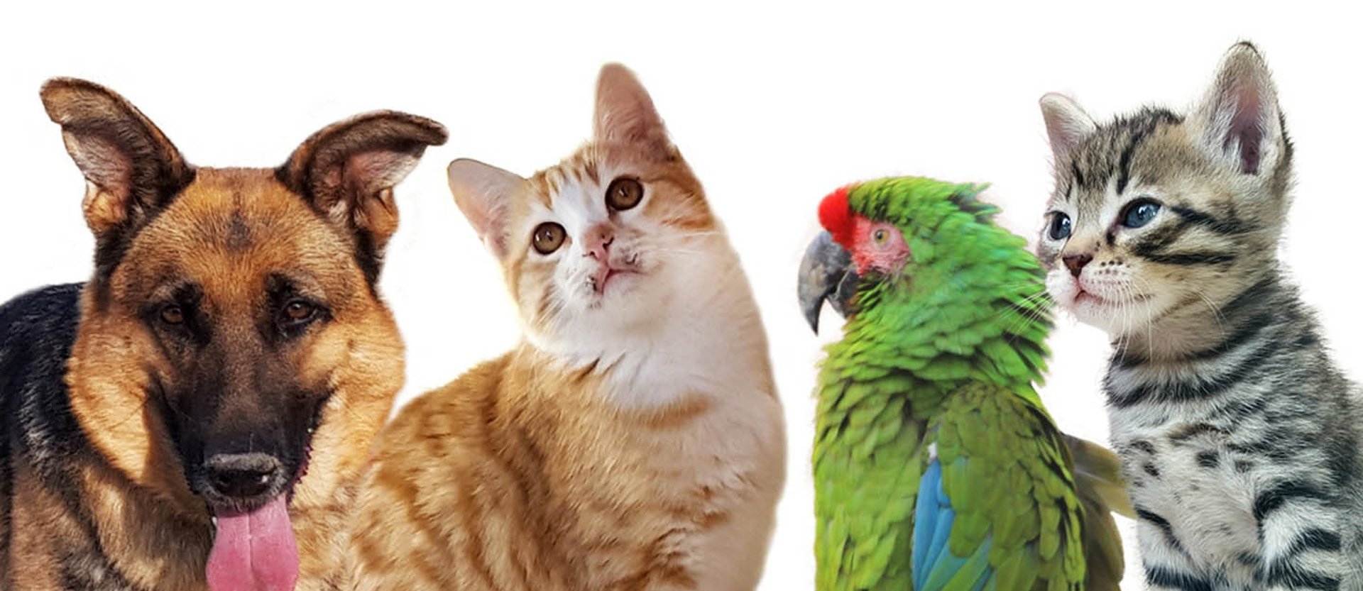 person wearing grey knit sweater