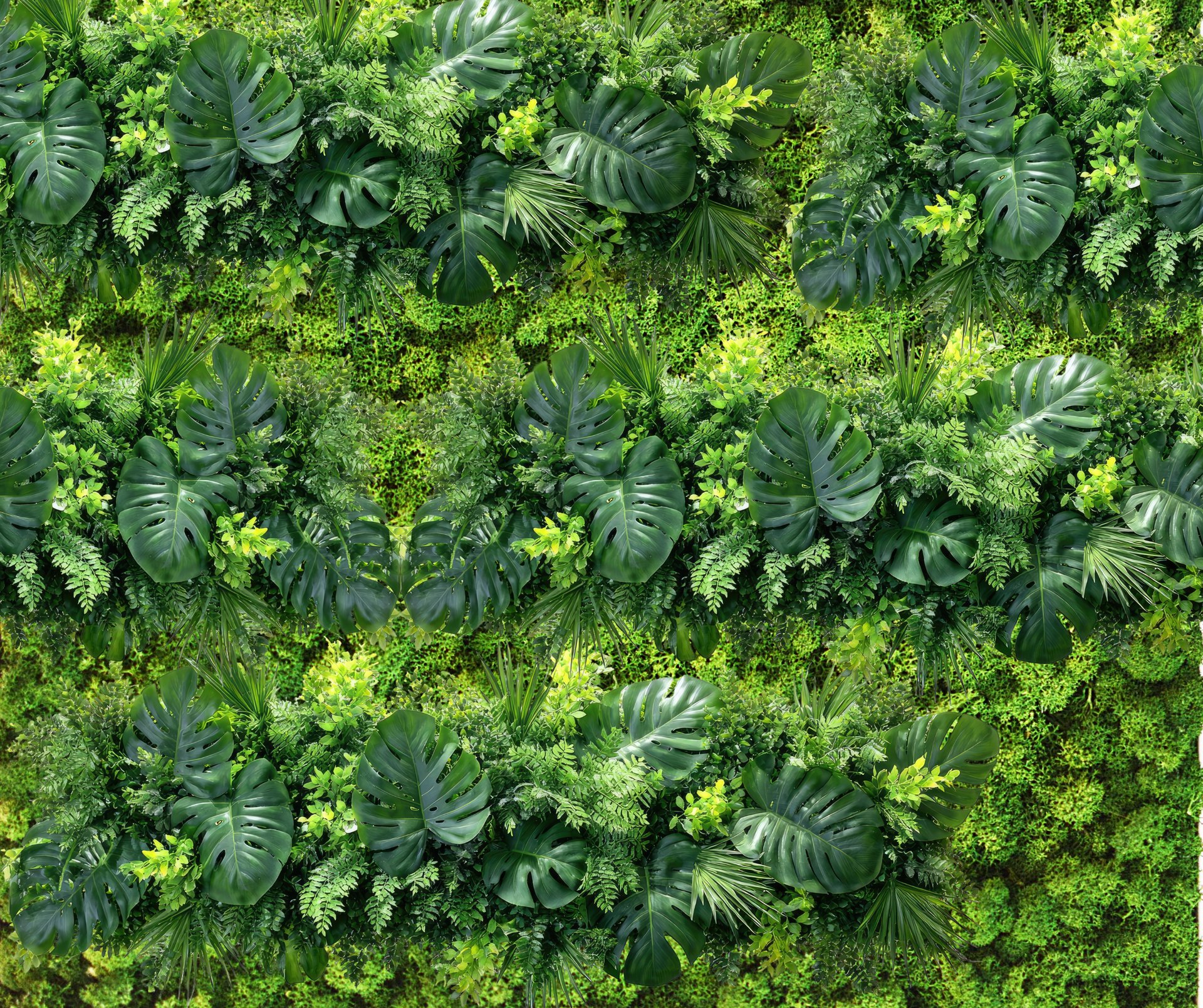 person working on laptop