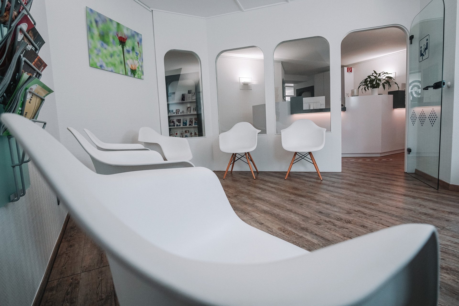 blue couch beside green potted plant