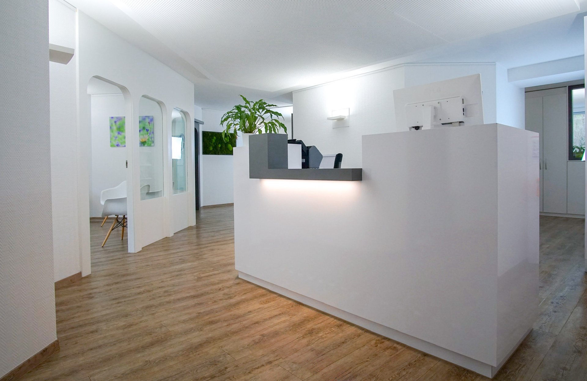 blue couch beside green potted plant