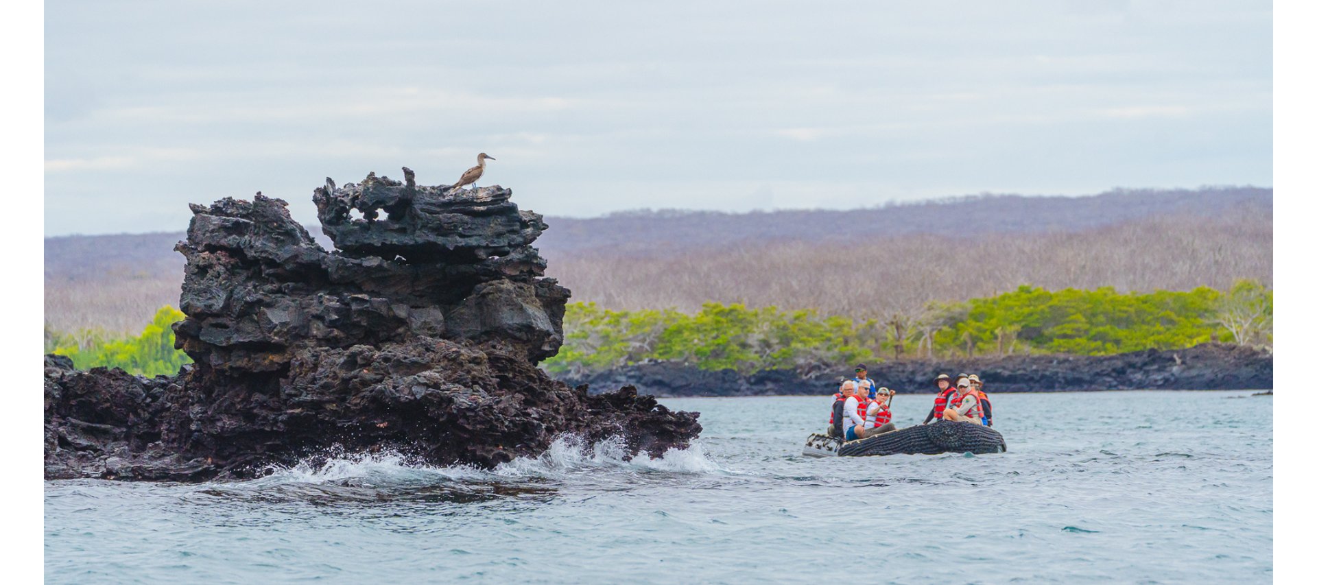 black and brown leather padded tub sofa