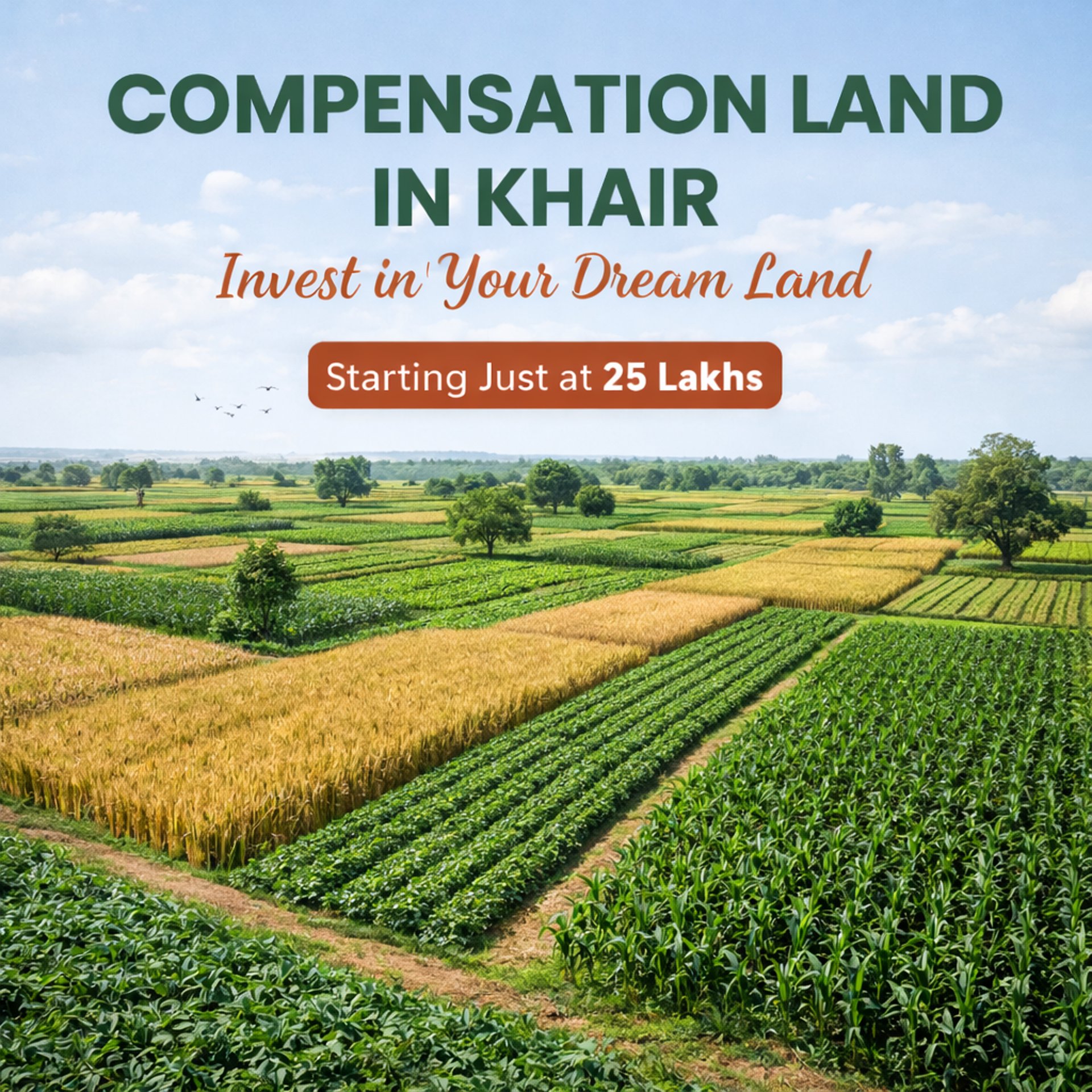 gray concrete road between green trees under white clouds and blue sky during daytime