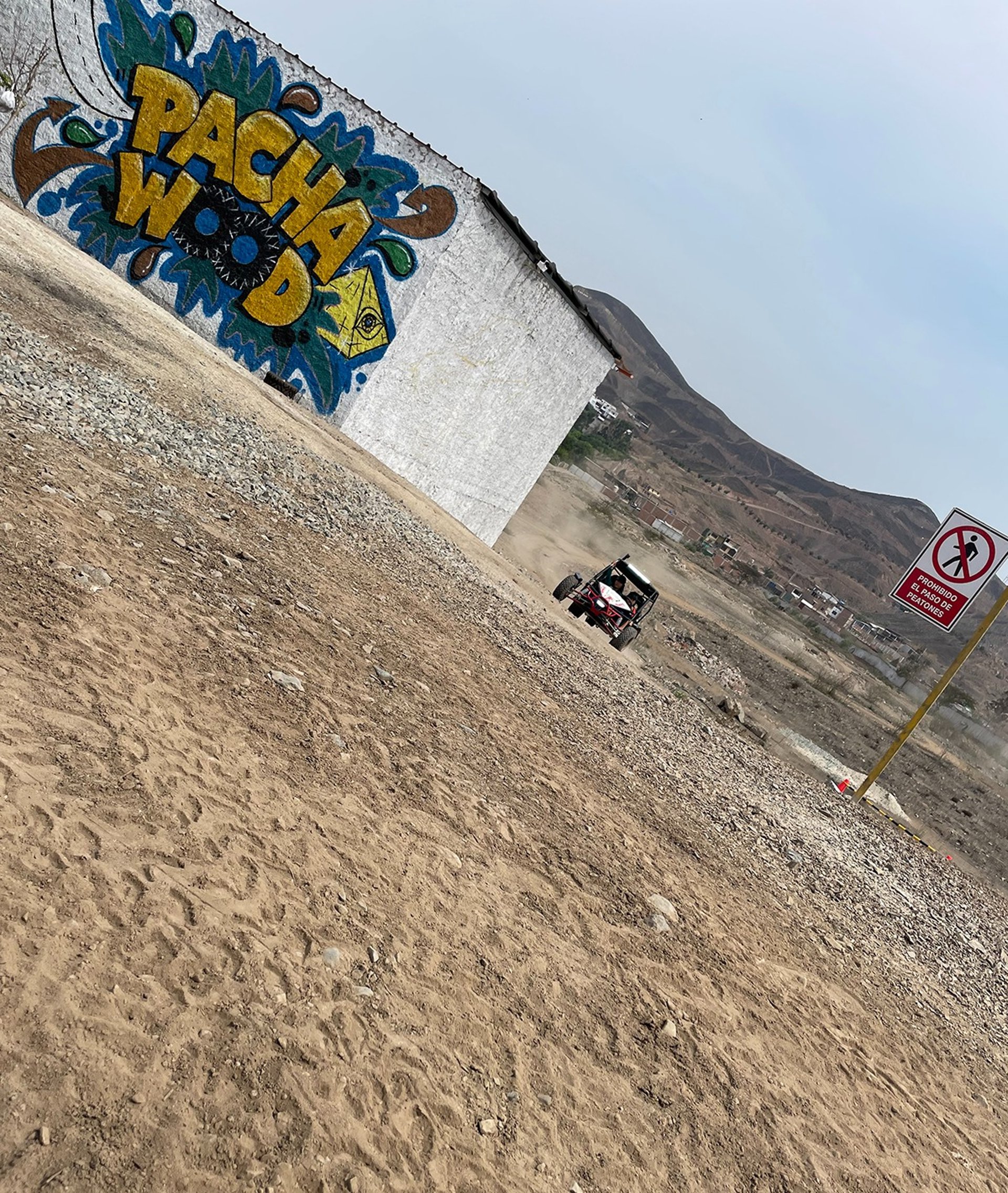 woman wearing yellow long-sleeved dress under white clouds and blue sky during daytime