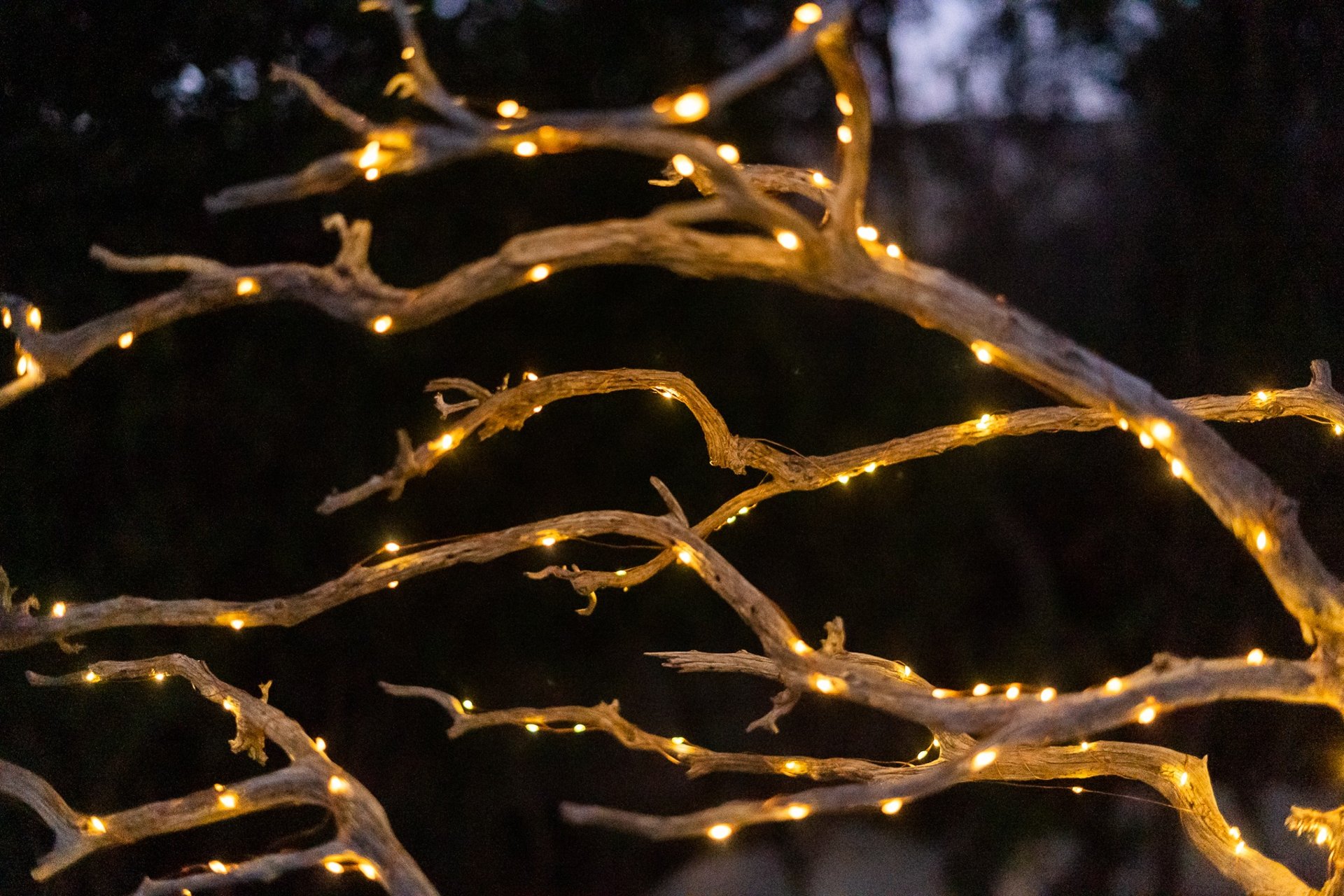 woman wearing yellow long-sleeved dress under white clouds and blue sky during daytime