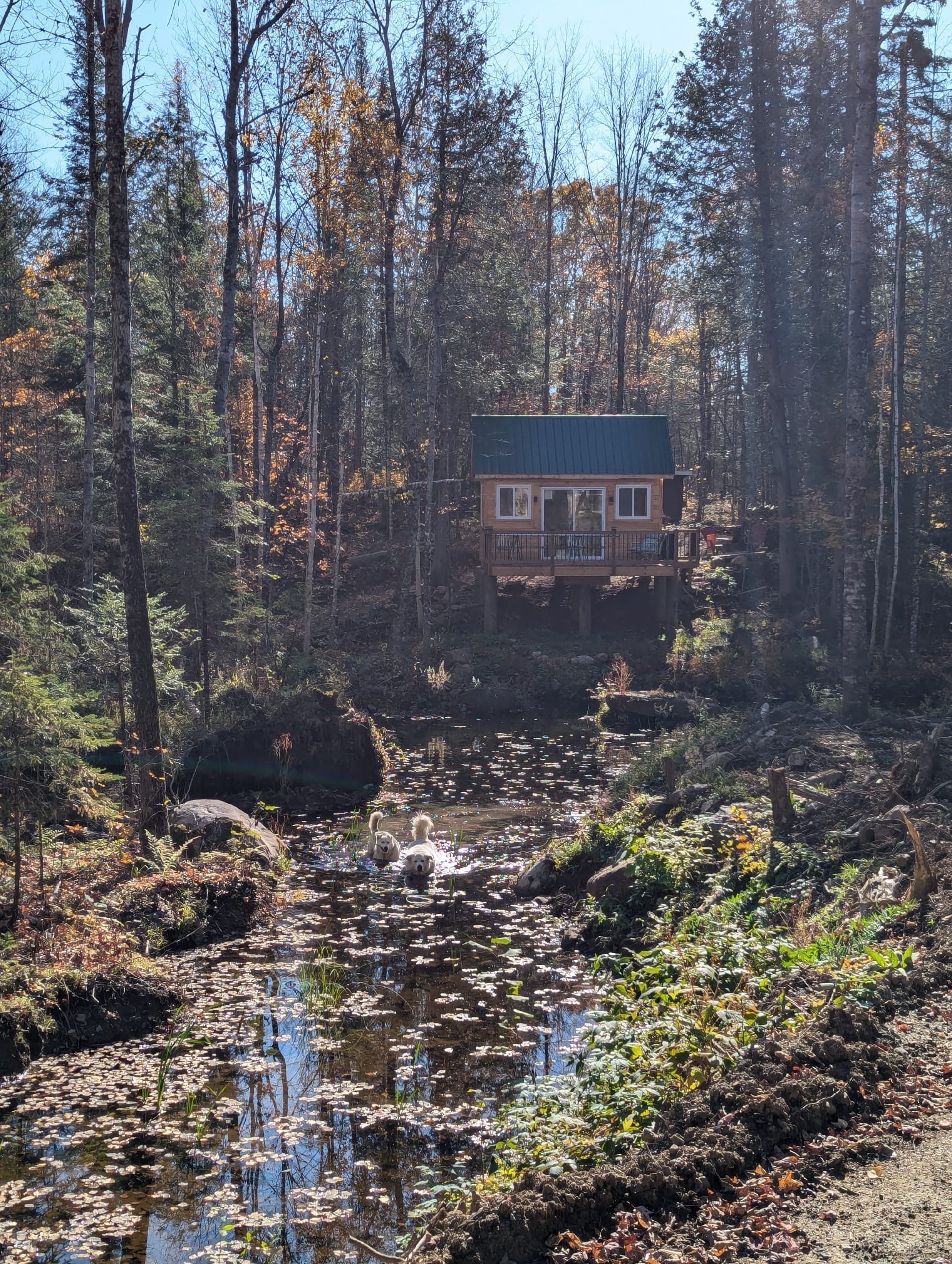 an abstract photo of a curved building with a blue sky in the background