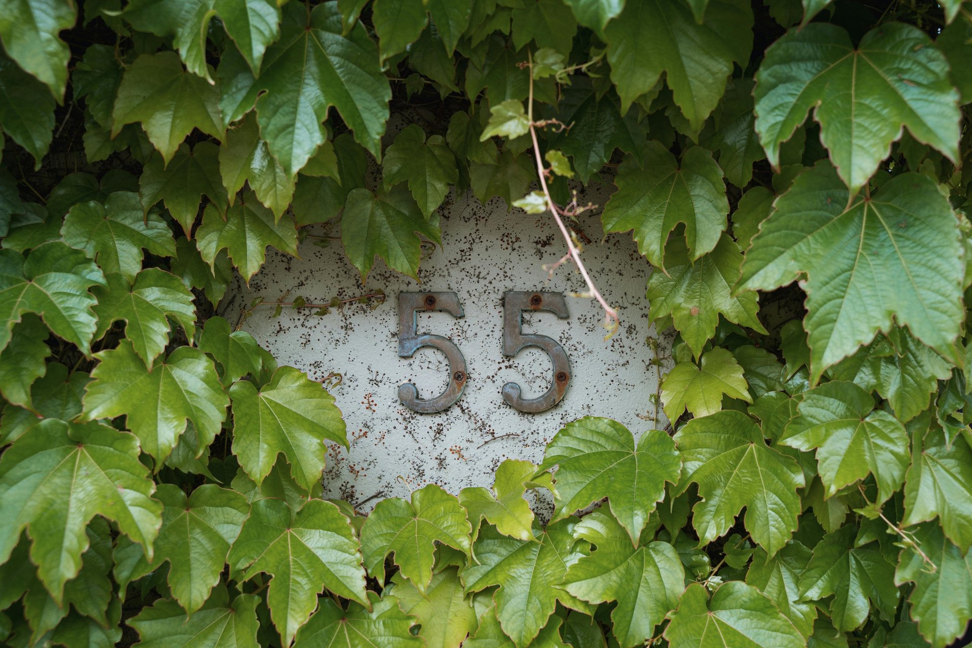 black retractable pen on white printer paper