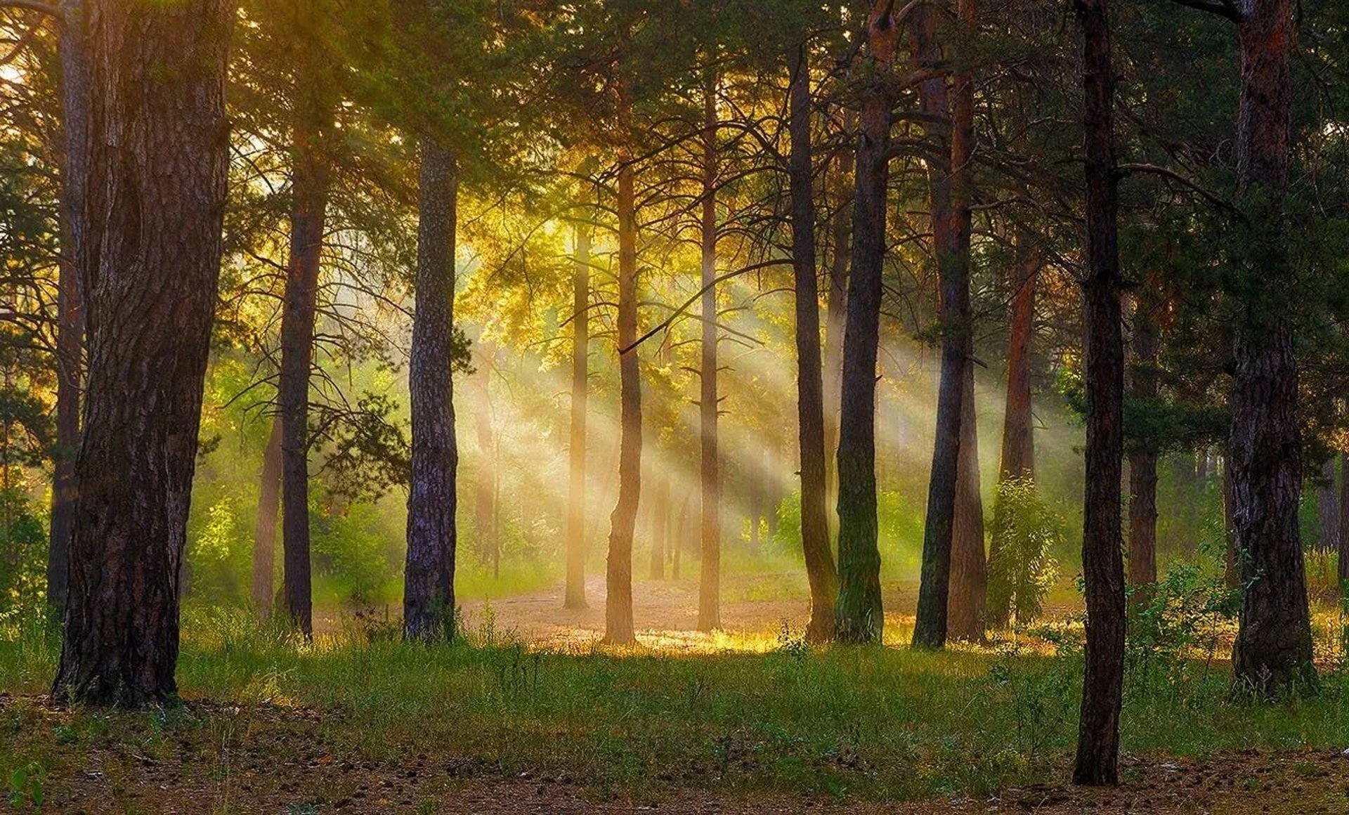 Oro kokybės ekspertai