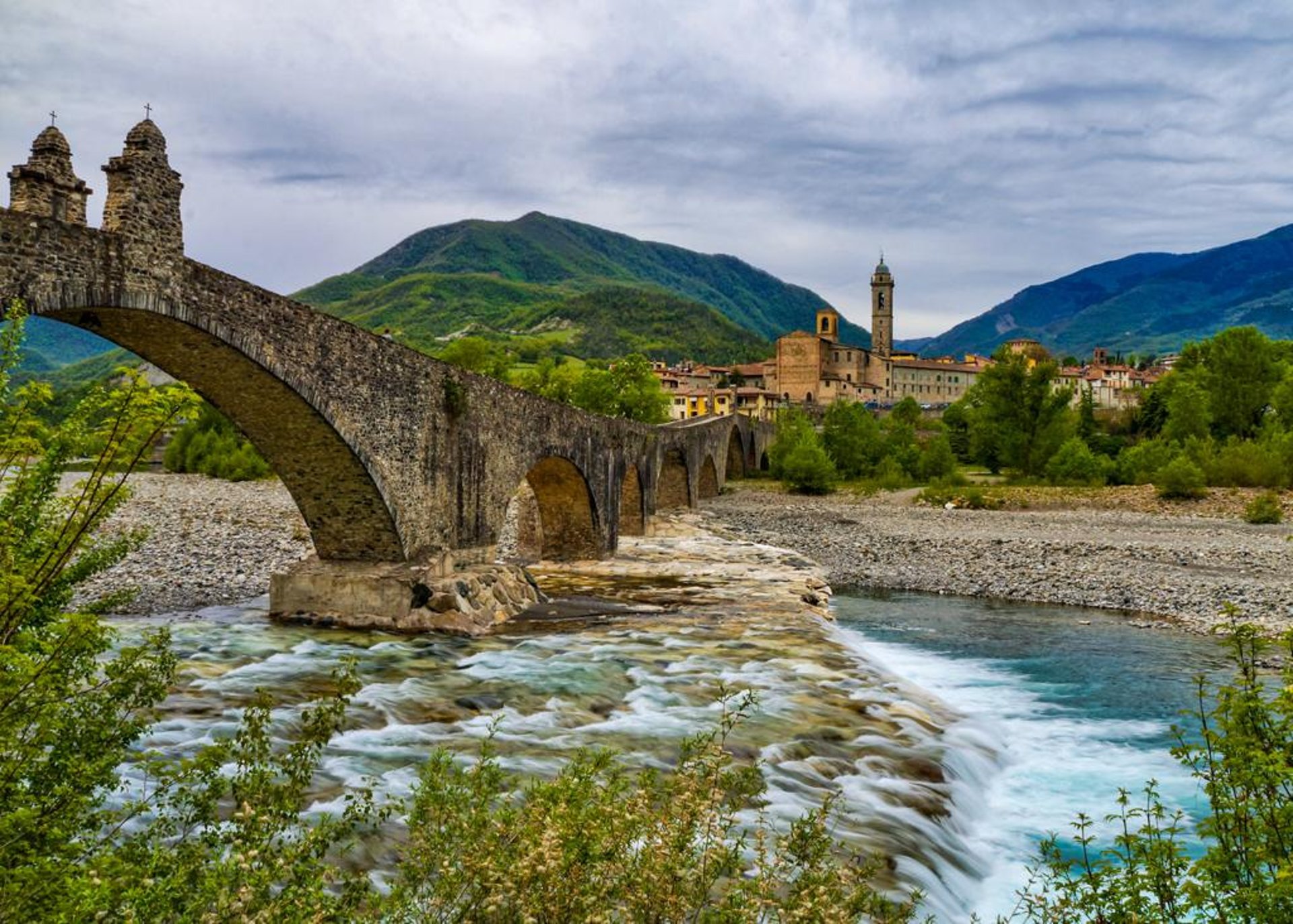 green and black bicycle on green grass