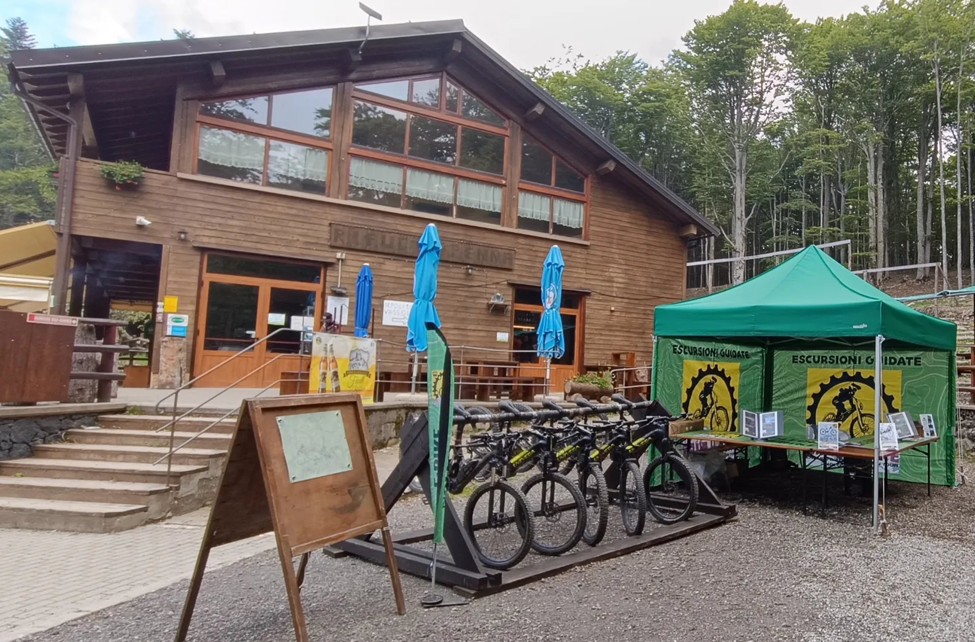 green and black bicycle on green grass