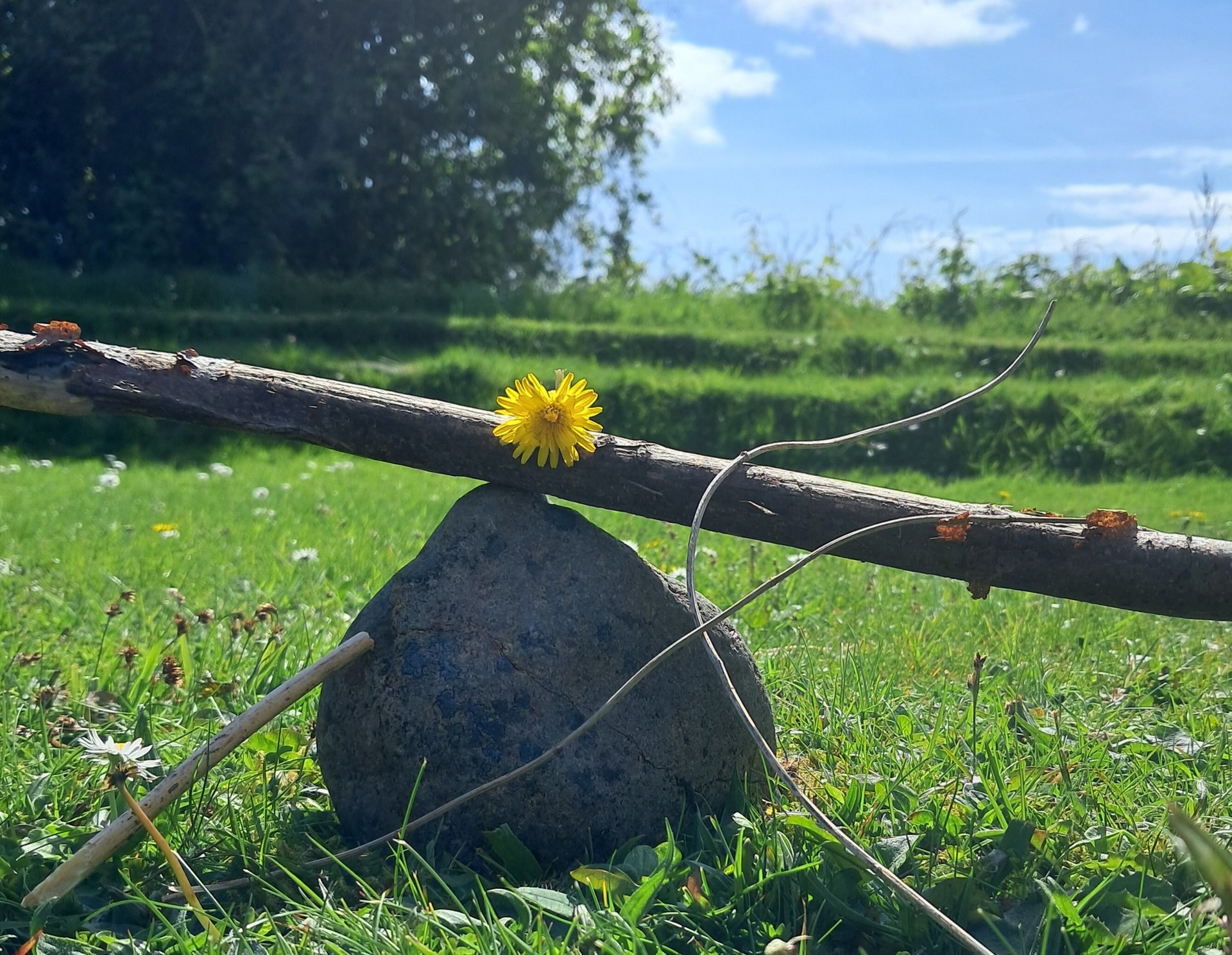 an abstract photo of a curved building with a blue sky in the background
