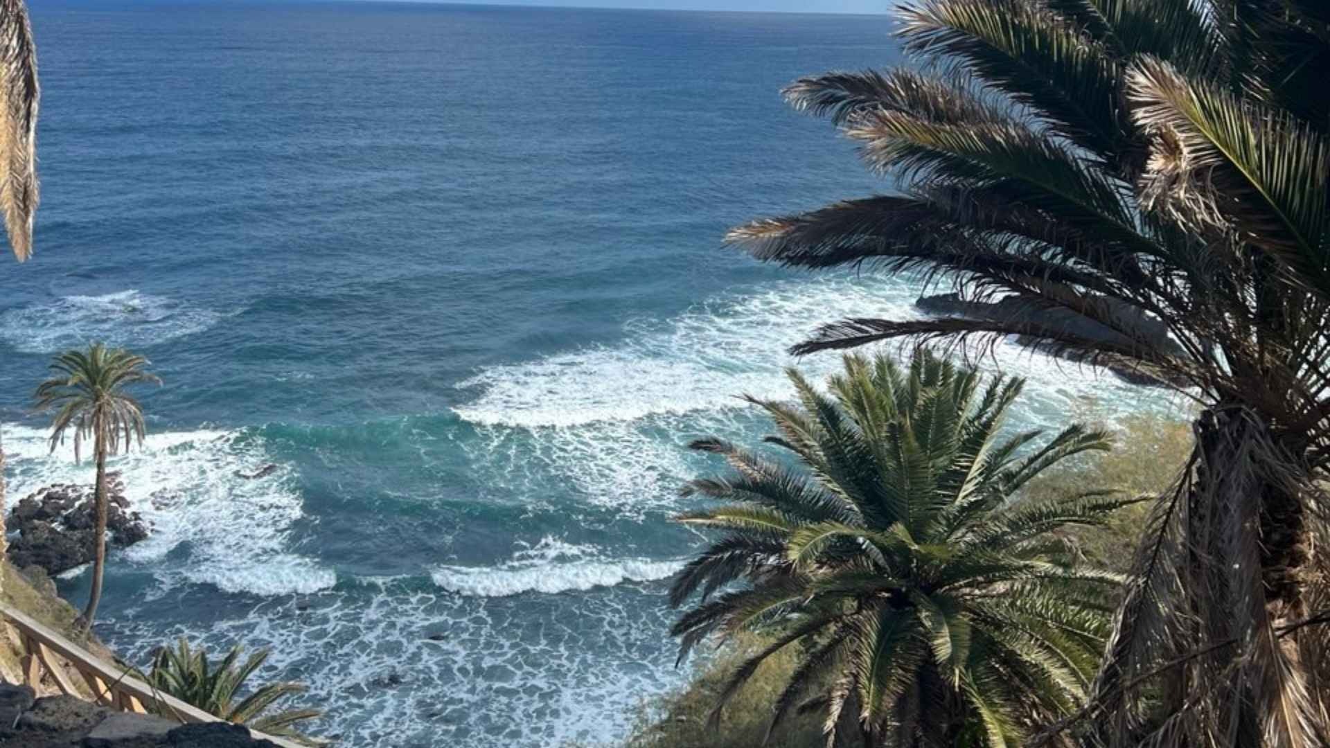 an abstract photo of a curved building with a blue sky in the background