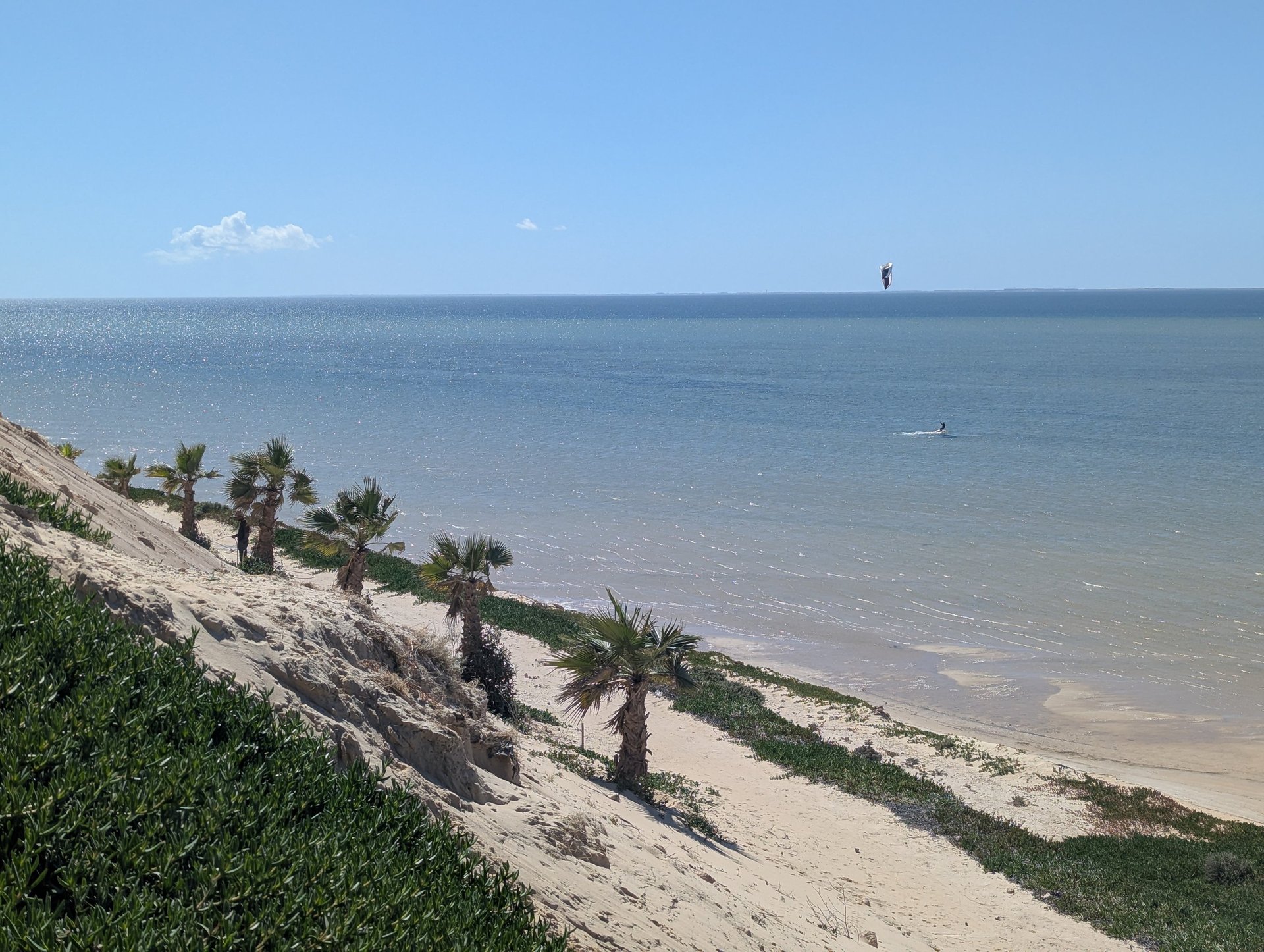 white and brown concrete building near green grass field during daytime