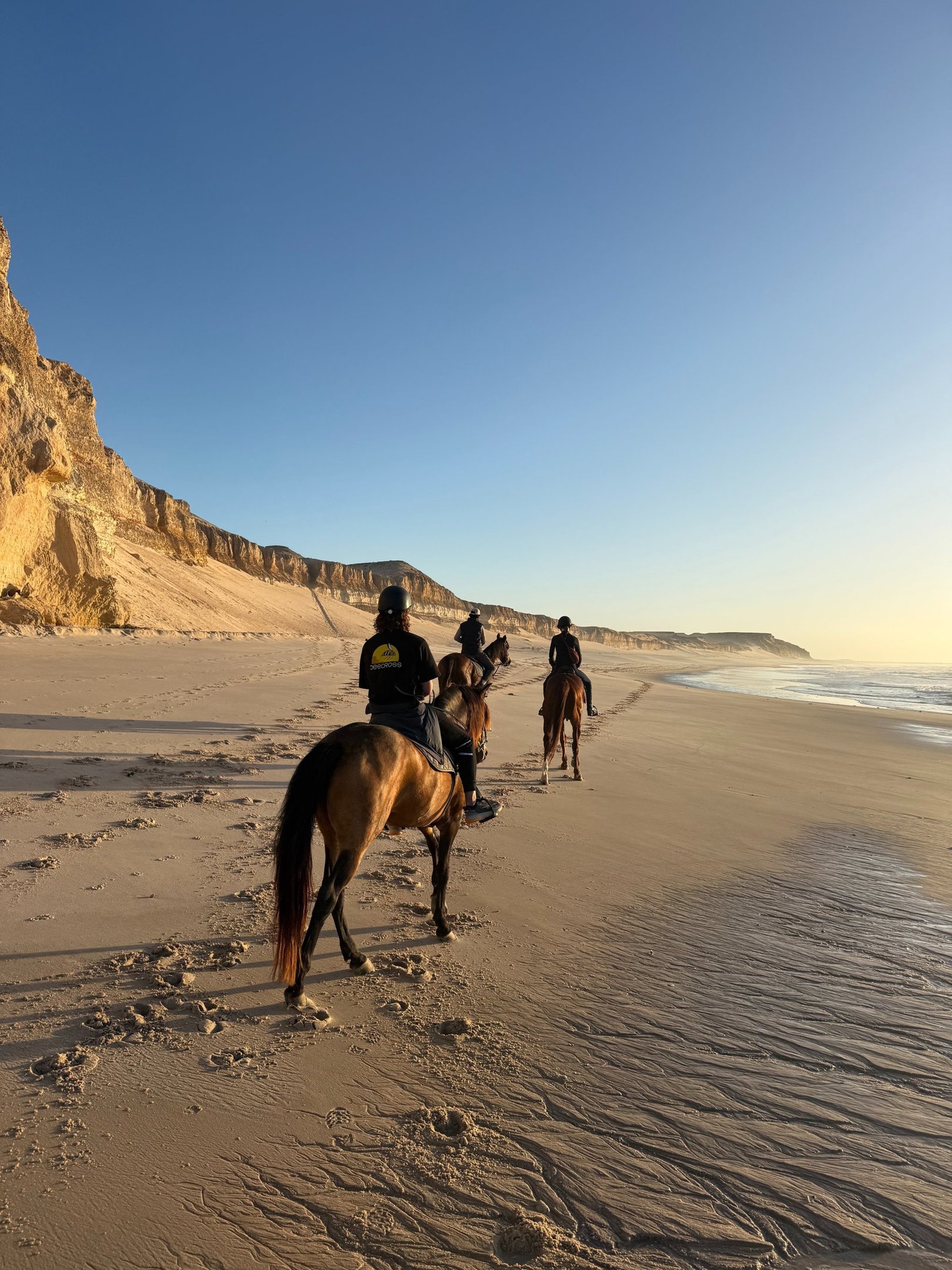 white and brown concrete building near green grass field during daytime