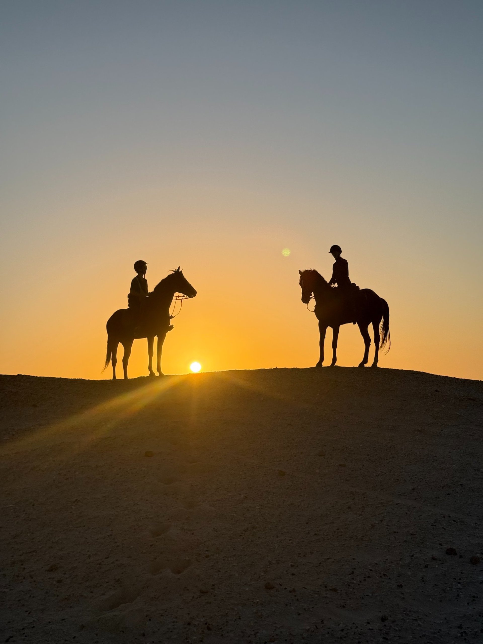 white and brown concrete building near green grass field during daytime
