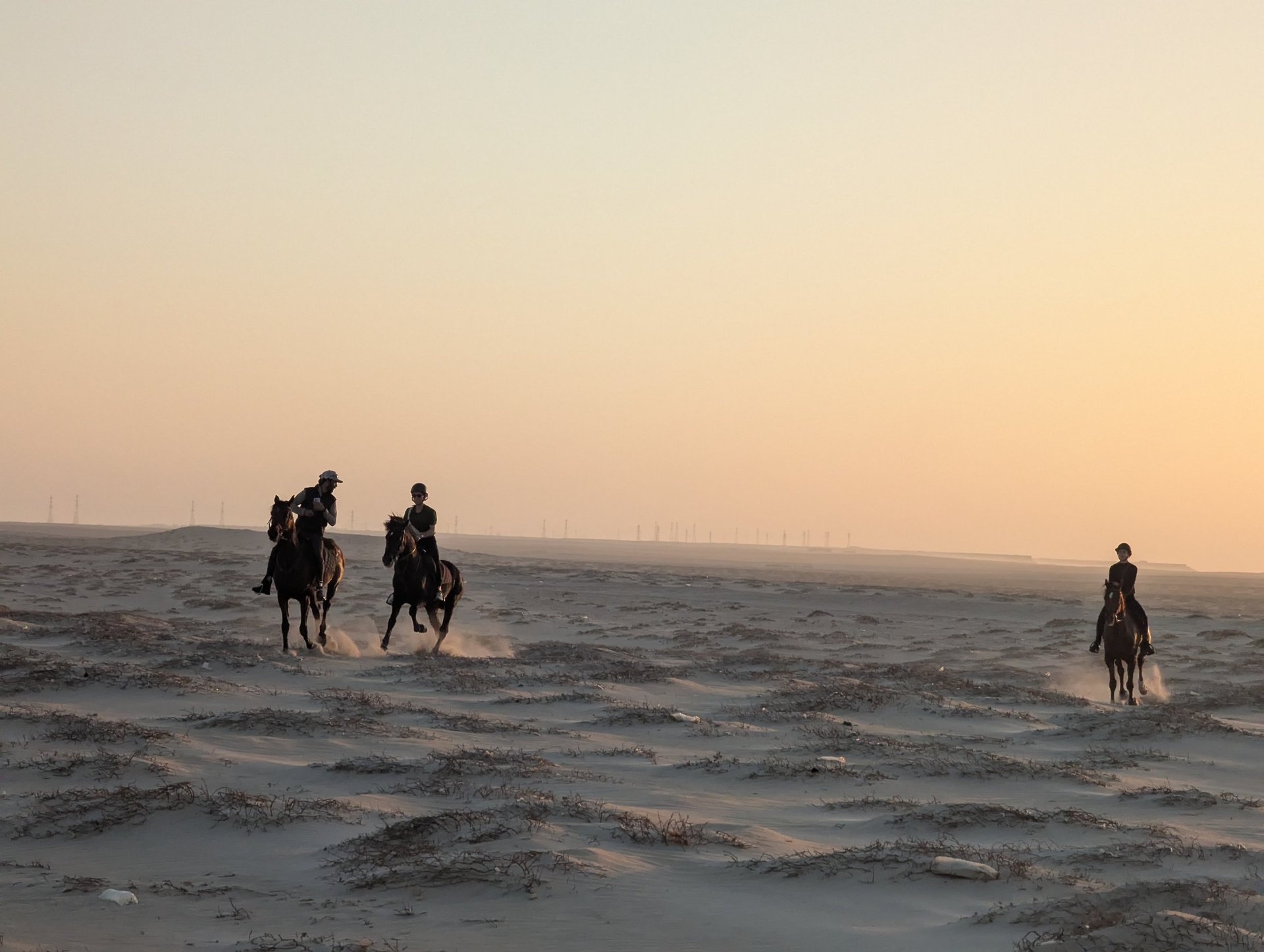 white and brown concrete building near green grass field during daytime
