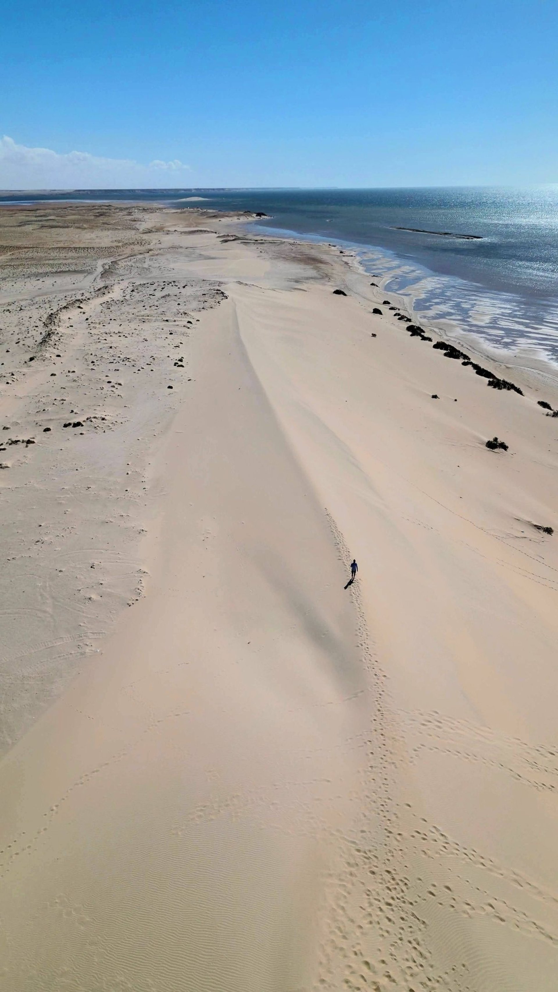 white and brown concrete building near green grass field during daytime
