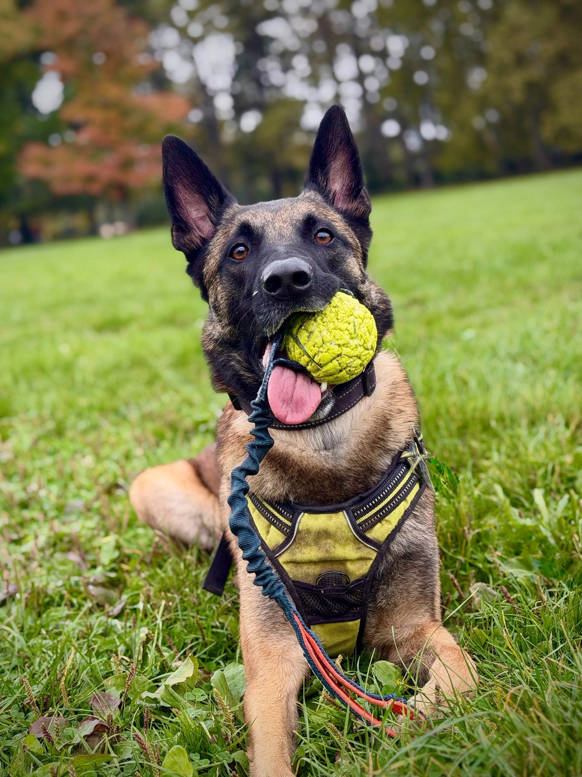 an abstract photo of a curved building with a blue sky in the background