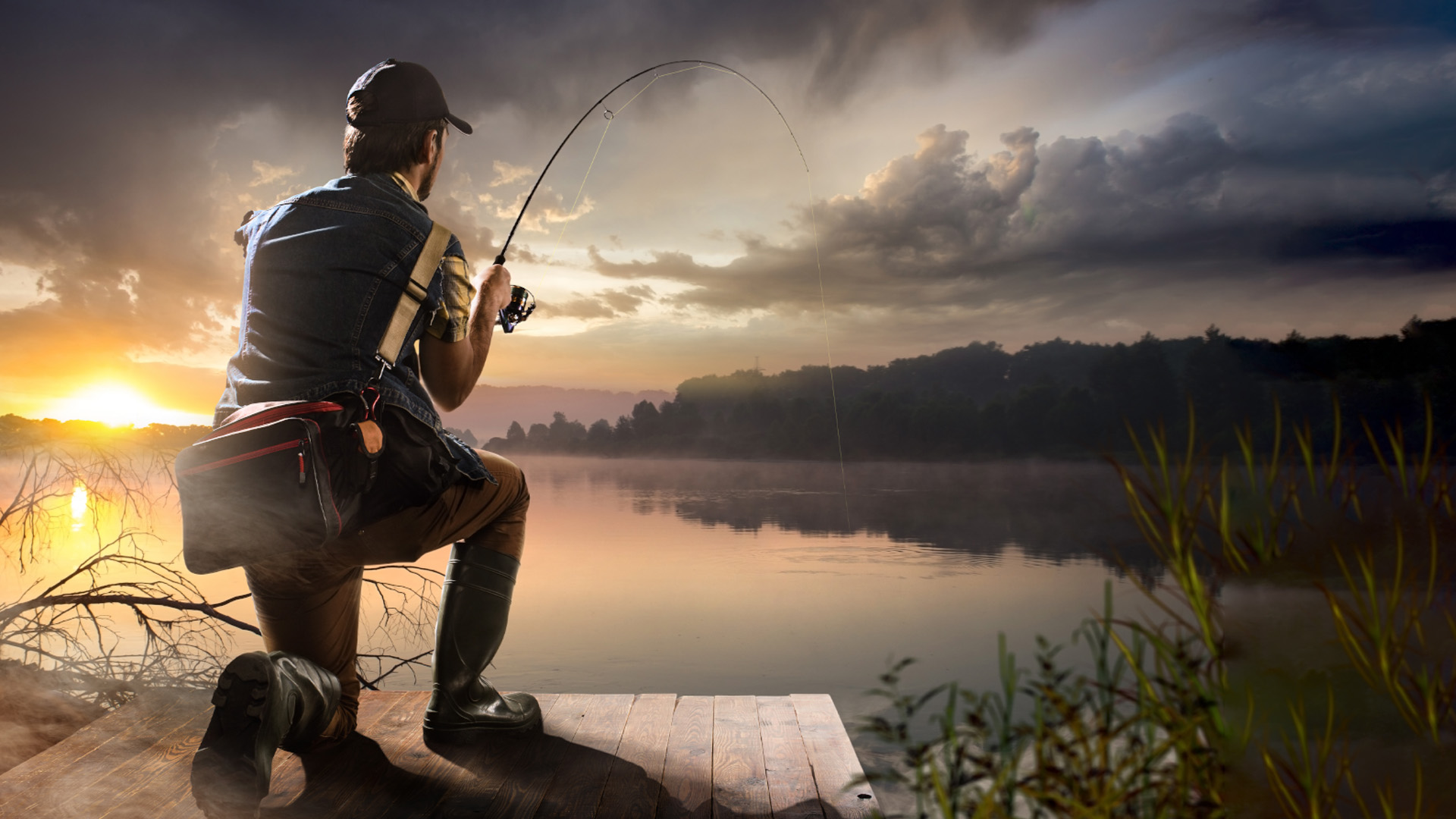 black blue and yellow textile