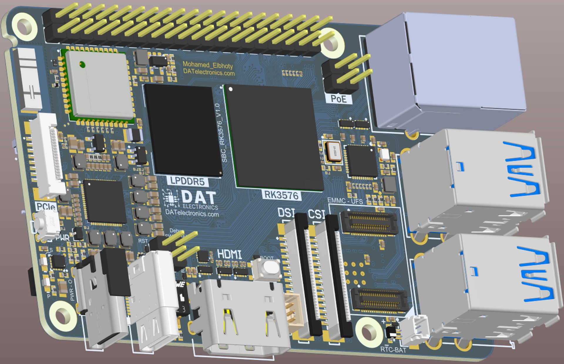 woman holding dried flower