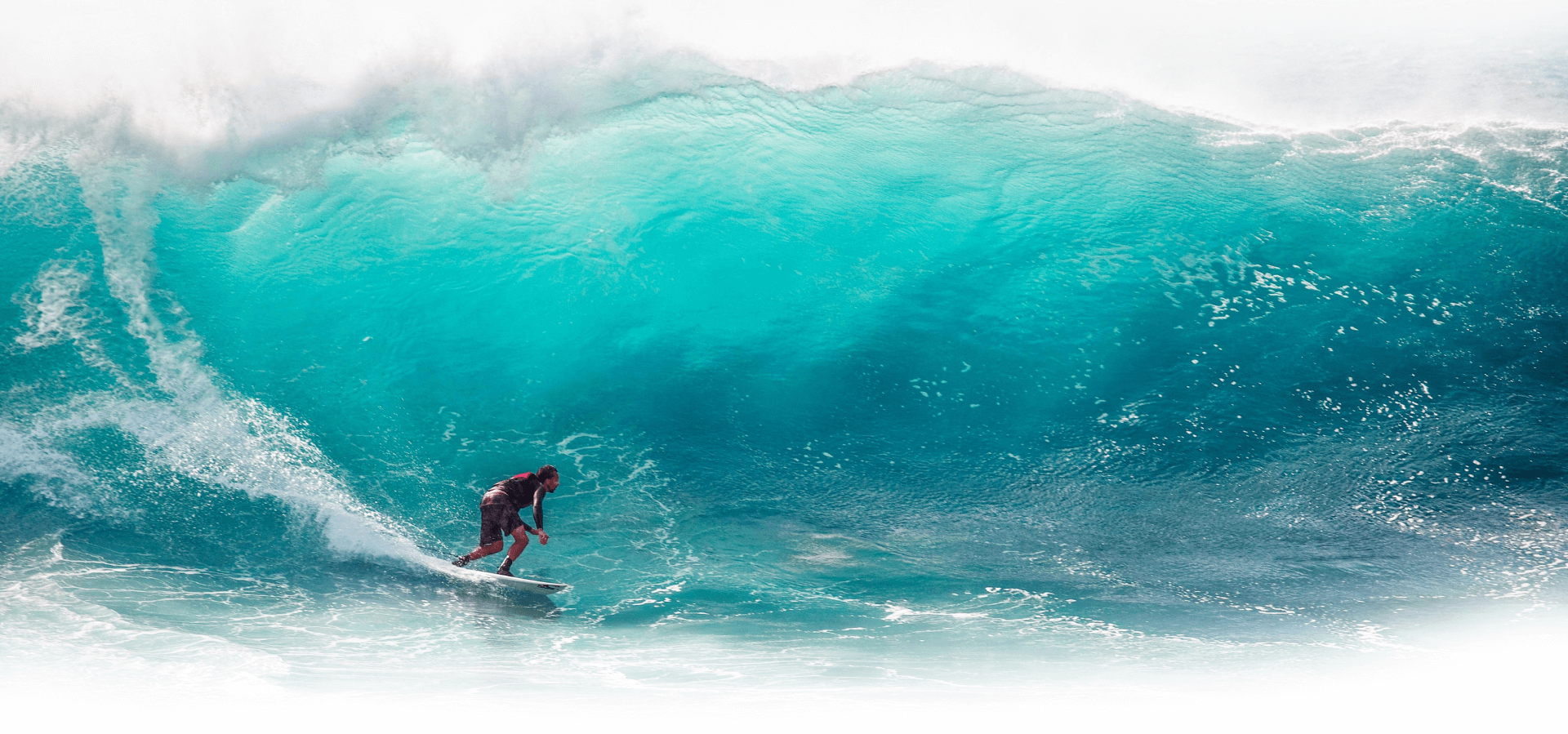 apple magic mouse beside apple magic mouse