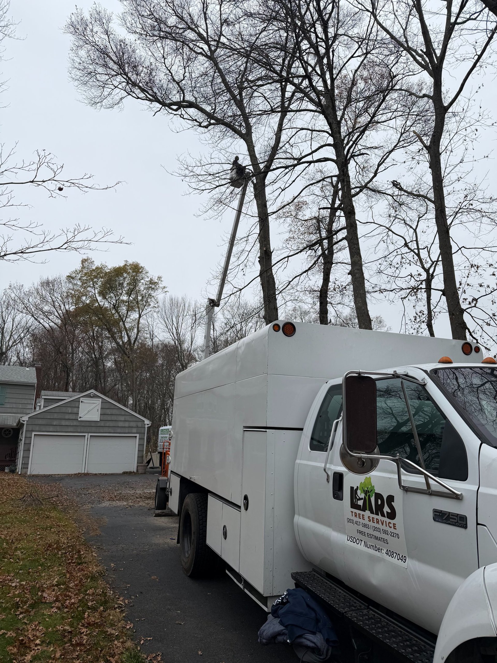 tree trunk with orange paint