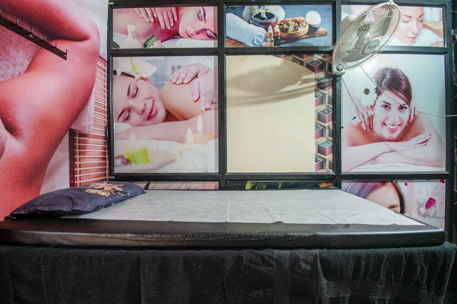 selective focus photography of green succulent plant