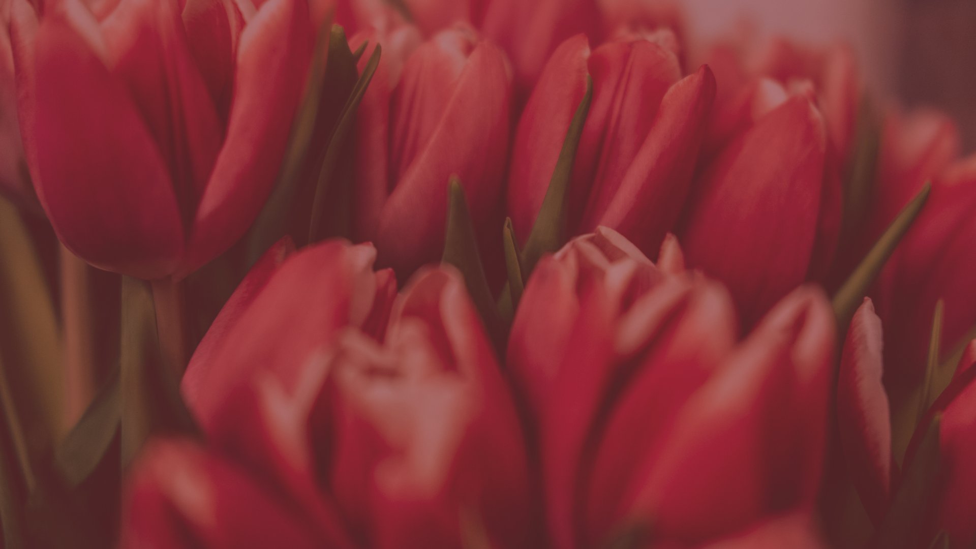 a close up of a black and brown abstract painting