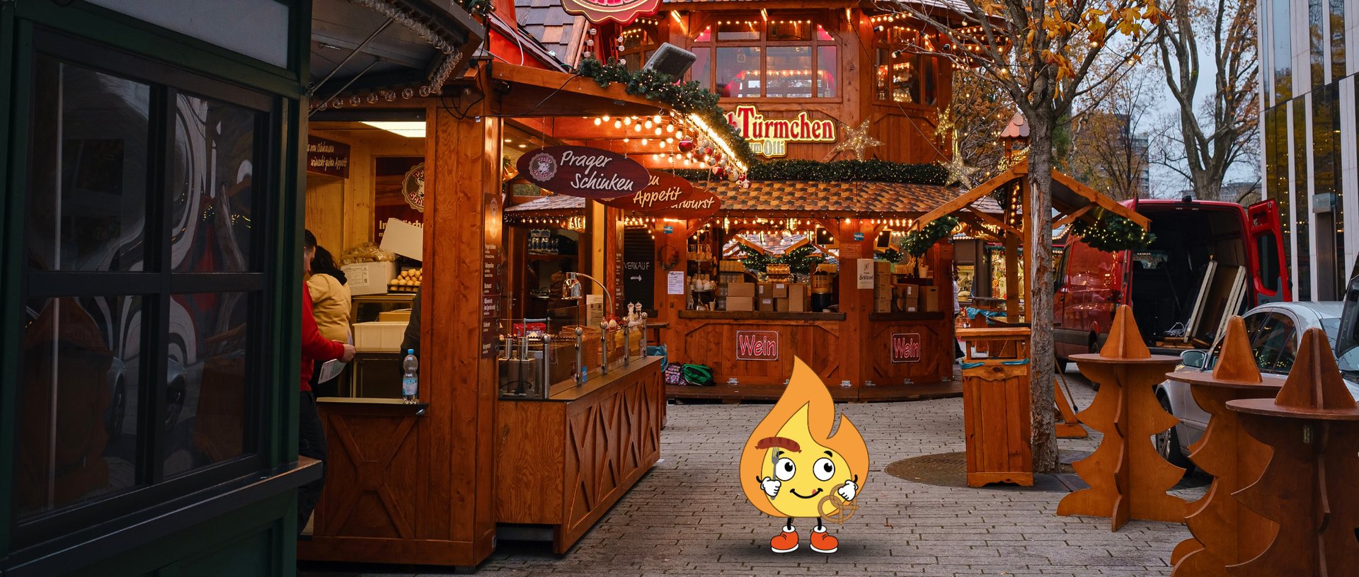 Forest during daytime