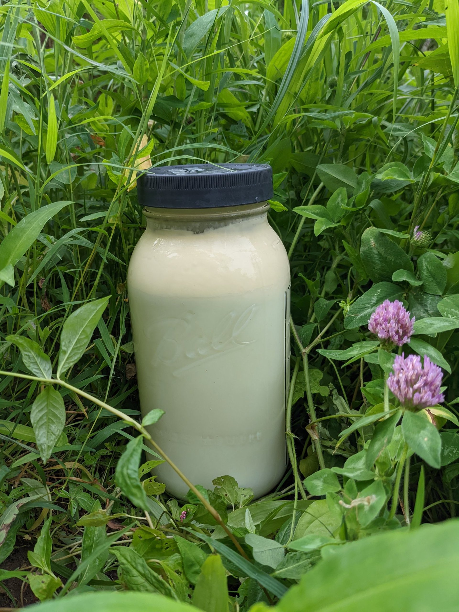 black and white bed linen