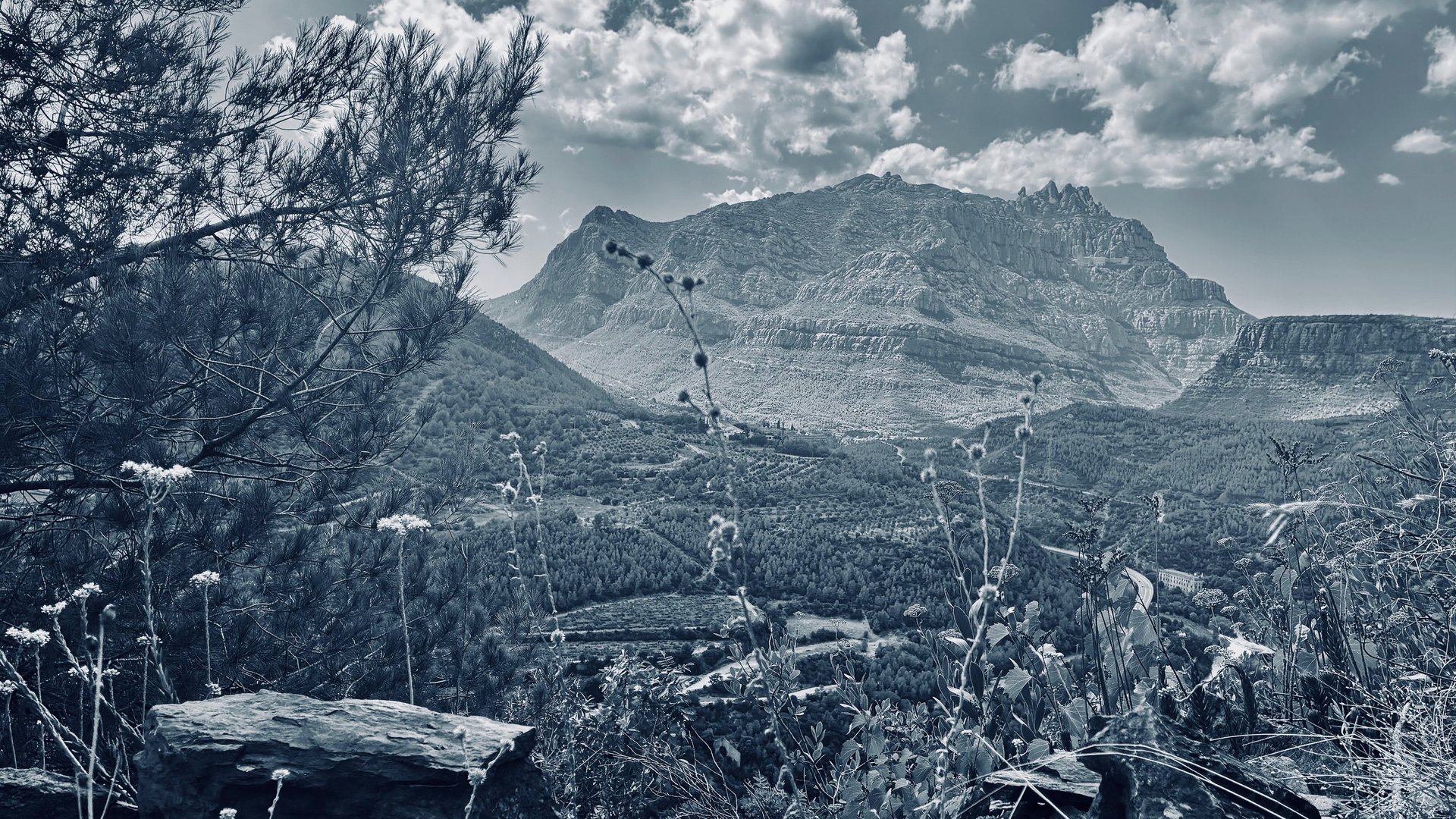 black and white bed linen